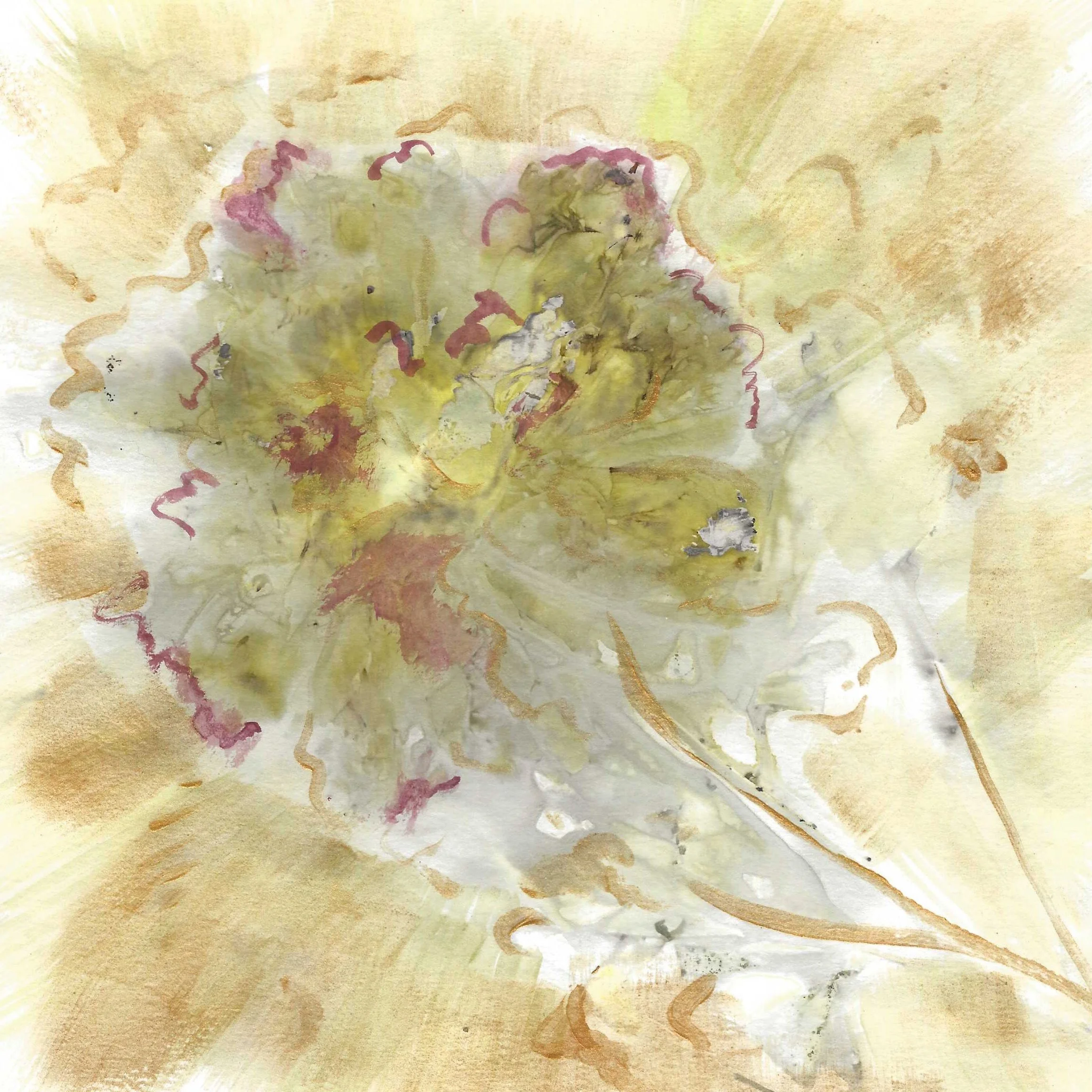 "Full Bloom " (Mixed Media, Botanical print with natural inks, watercolor, acrylic paint,  8x8 inches unframed)