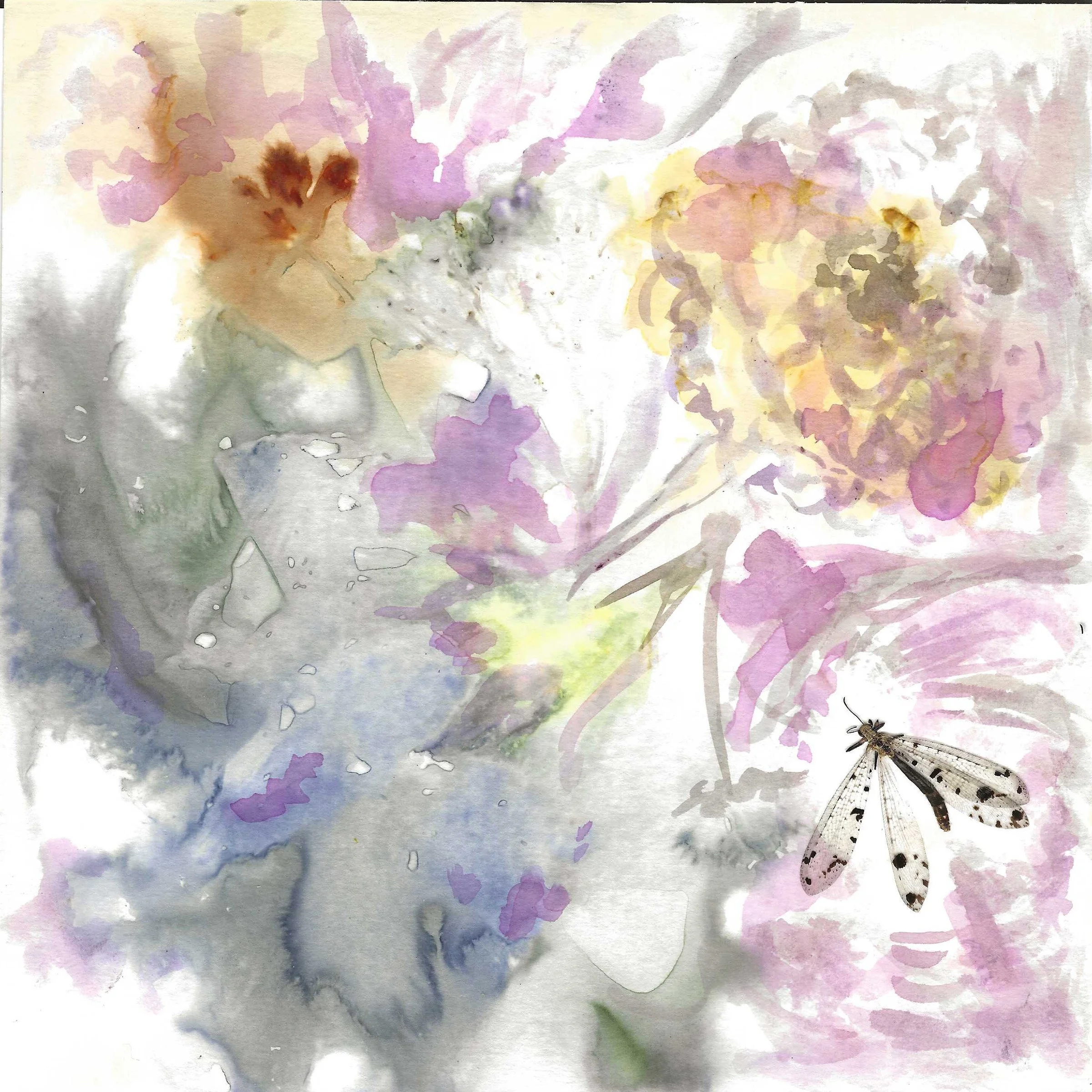Botanicals