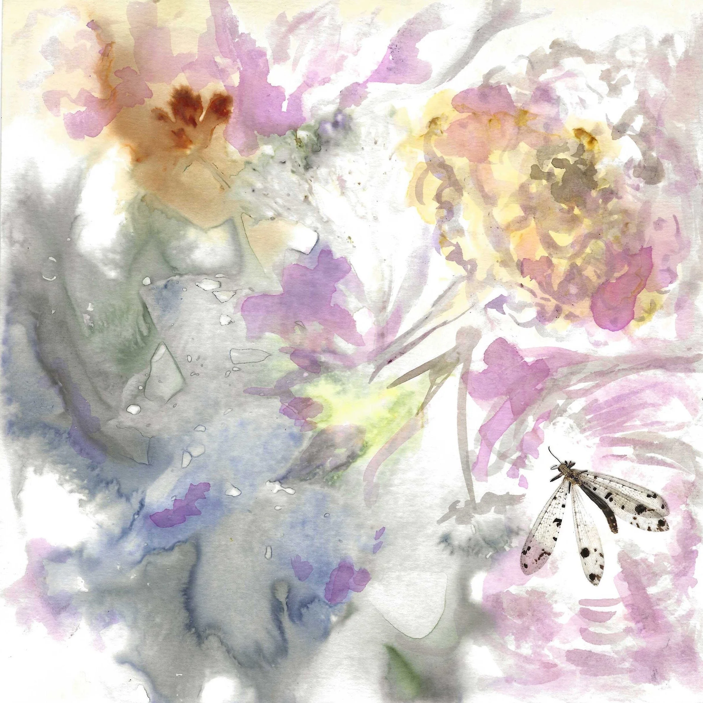 "Dragonfly" (Botanical print with natural inks, dragonfly, 8x8 inches unframed)