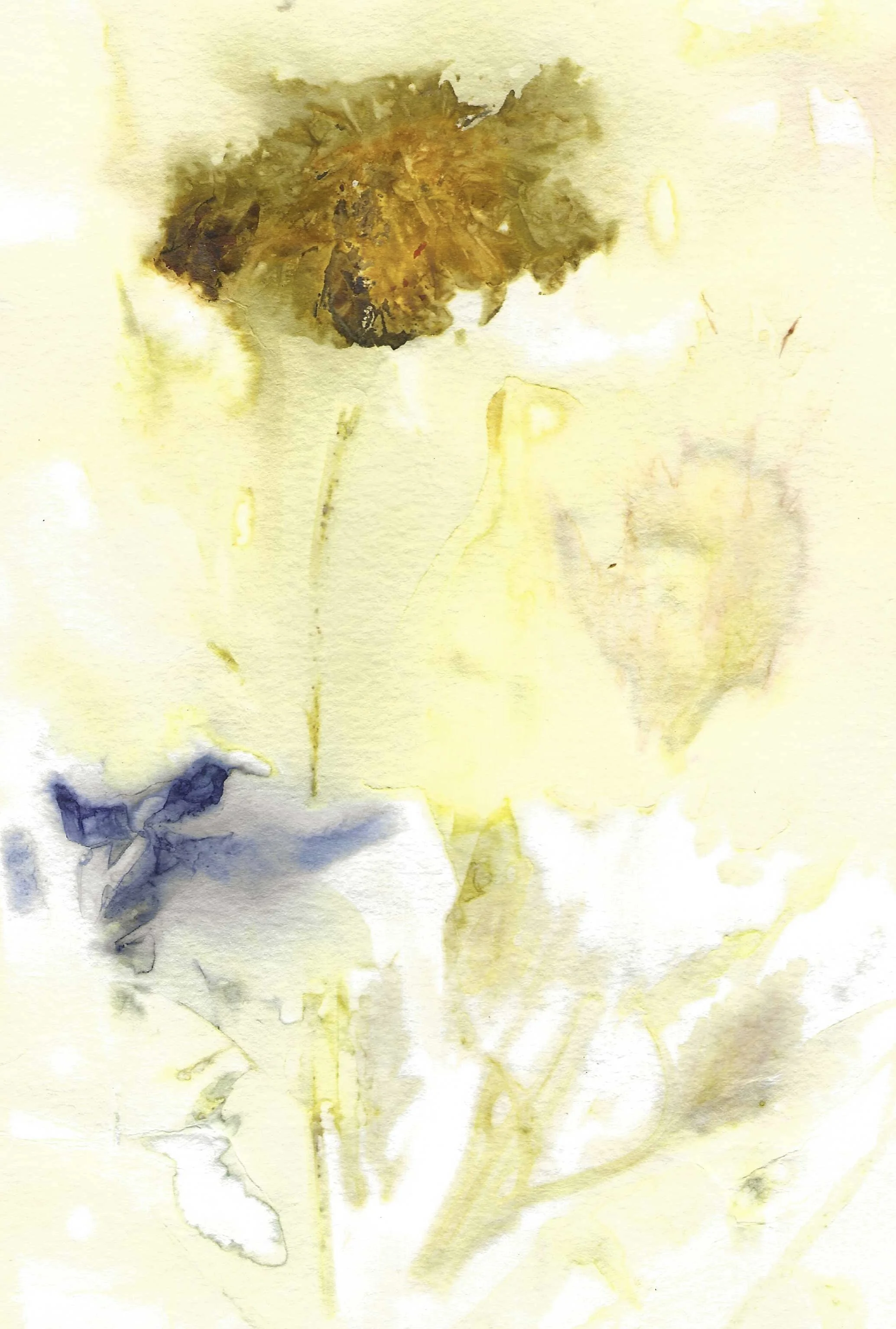 "Dancing Blooms" (Botanical Print, 5x7.5 inches unframed)