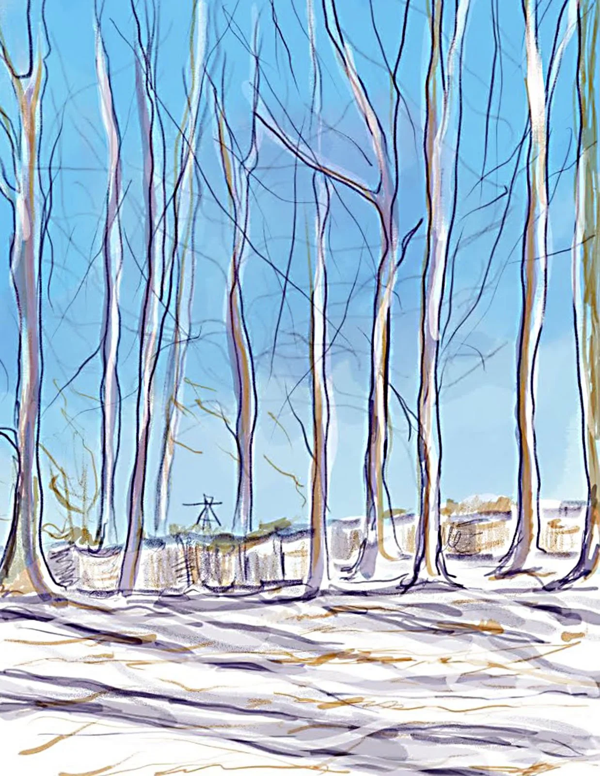Winter woods (digital)