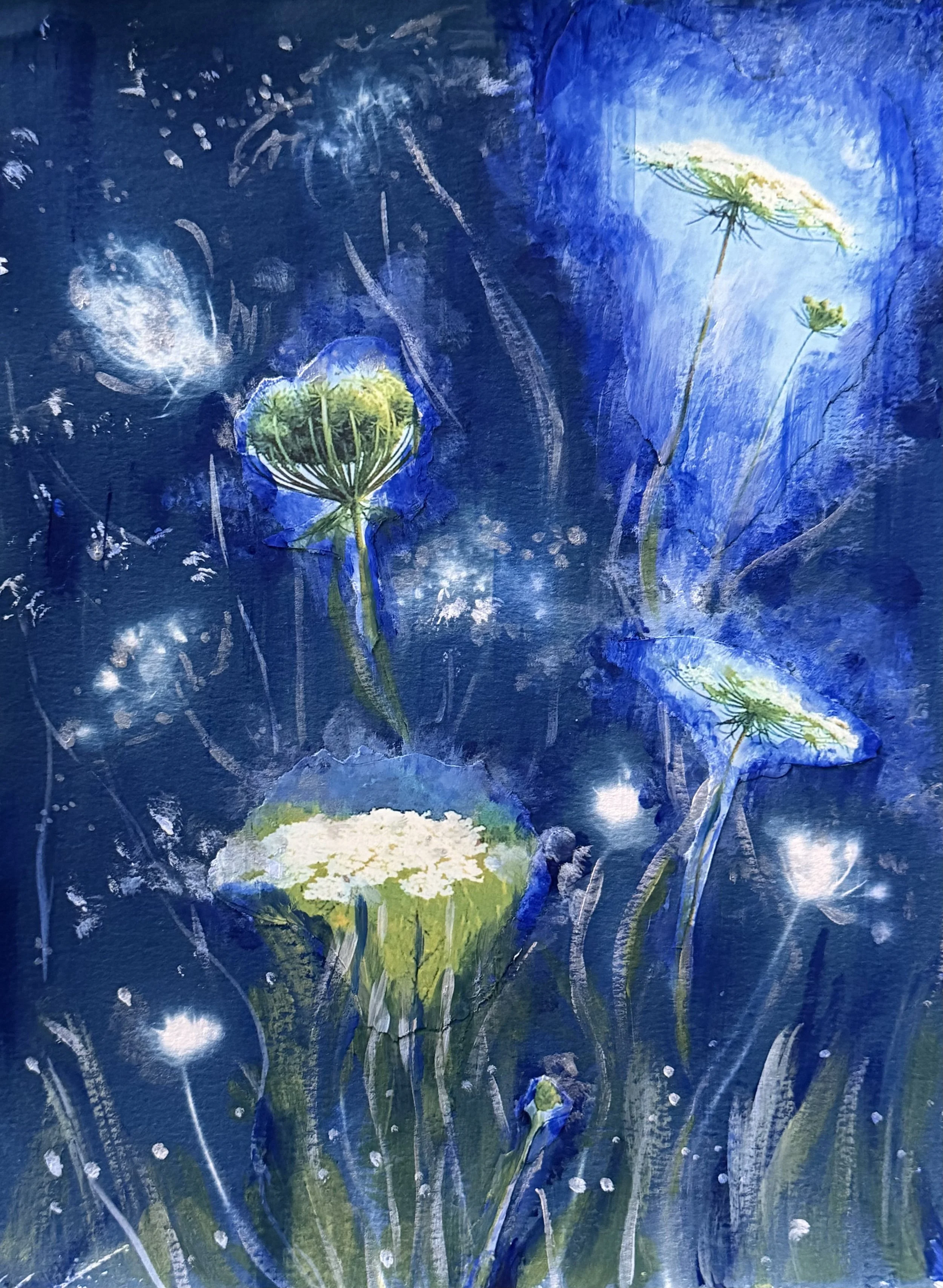 Echoes of Queen Anne's Lace