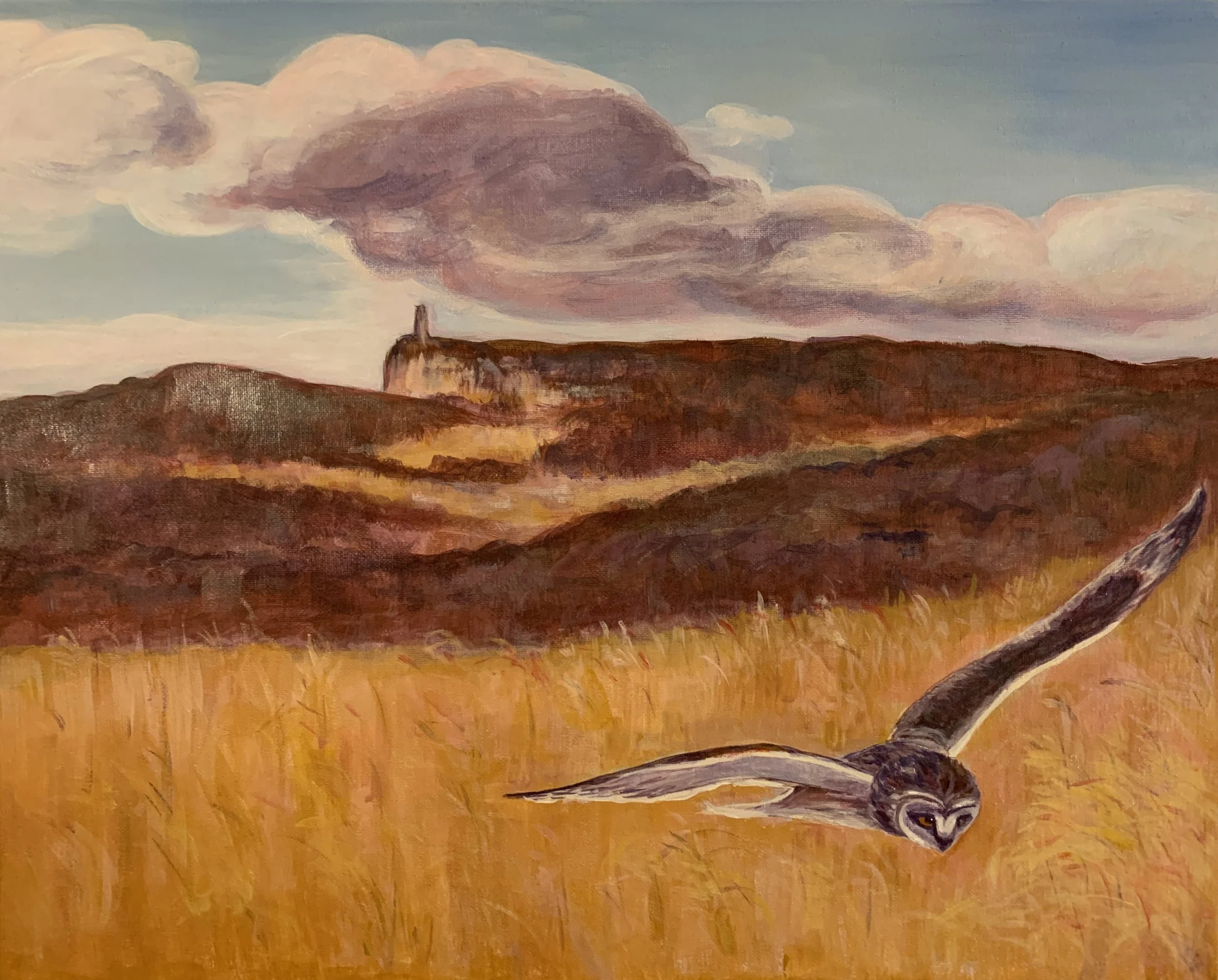 Skytop Flight (acrylic)