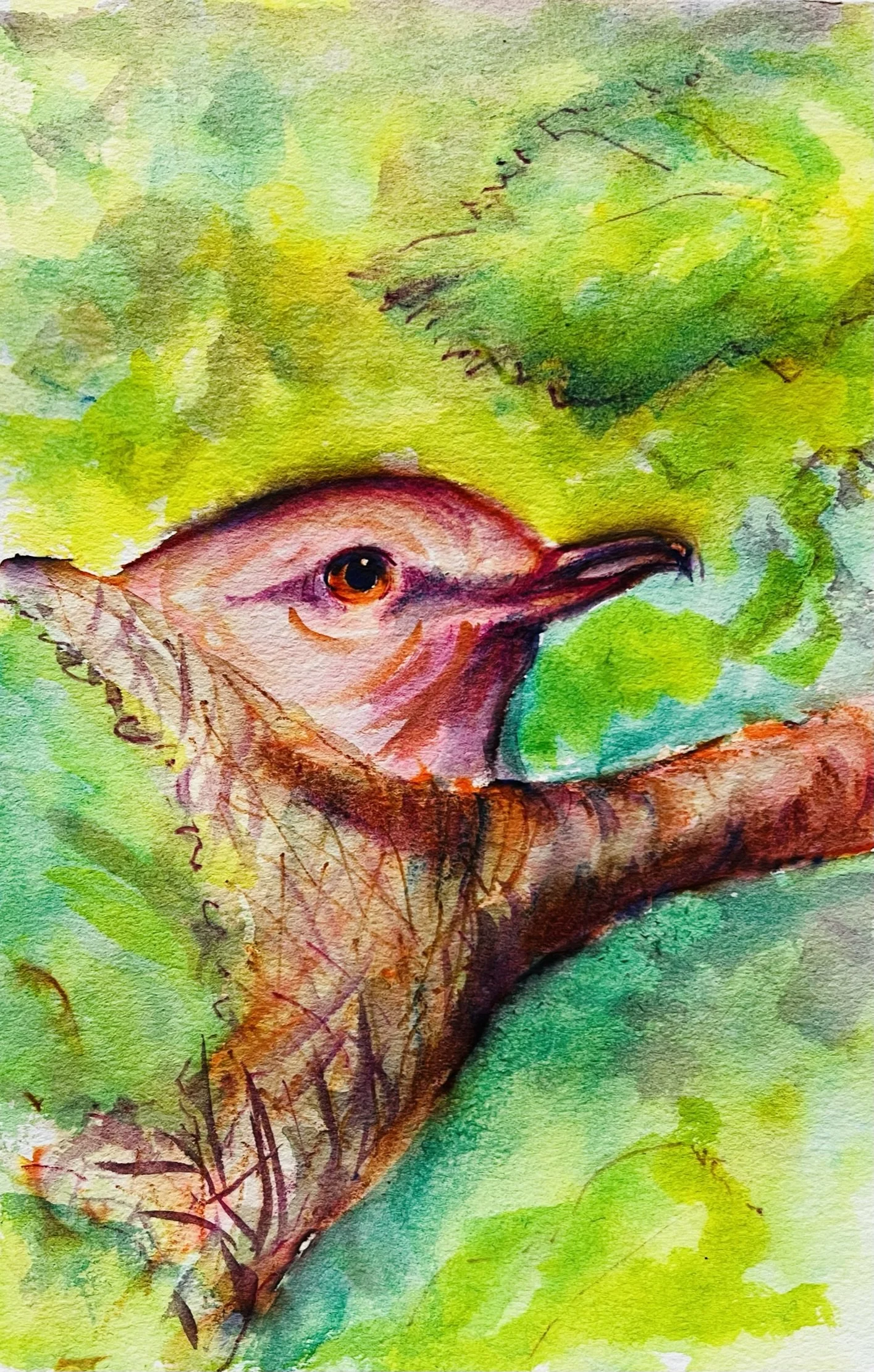 "Red-eyed Vireo" (6x9 inches, watercolor) 2022