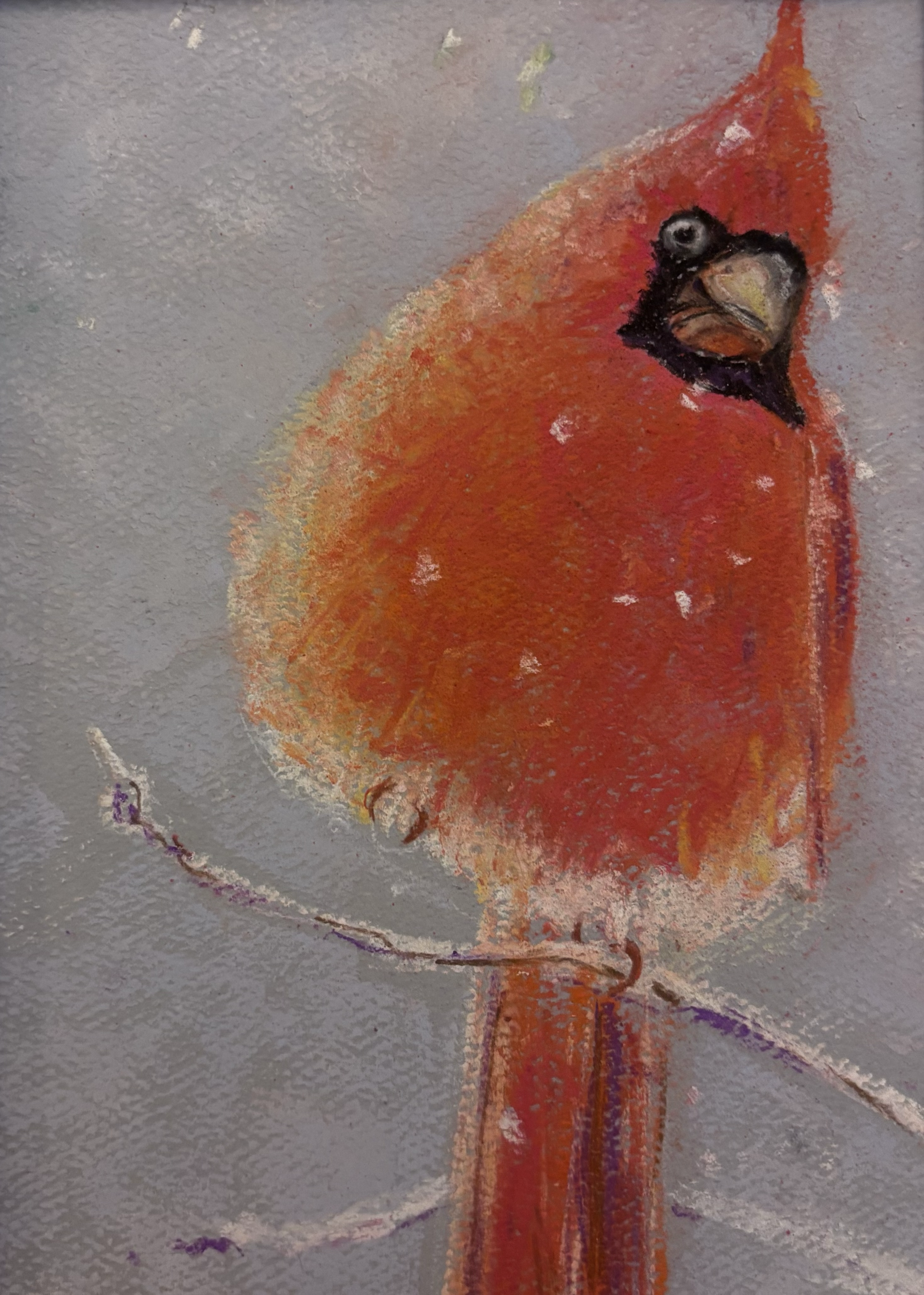 Cardinal, Pastel (6x9 inches)