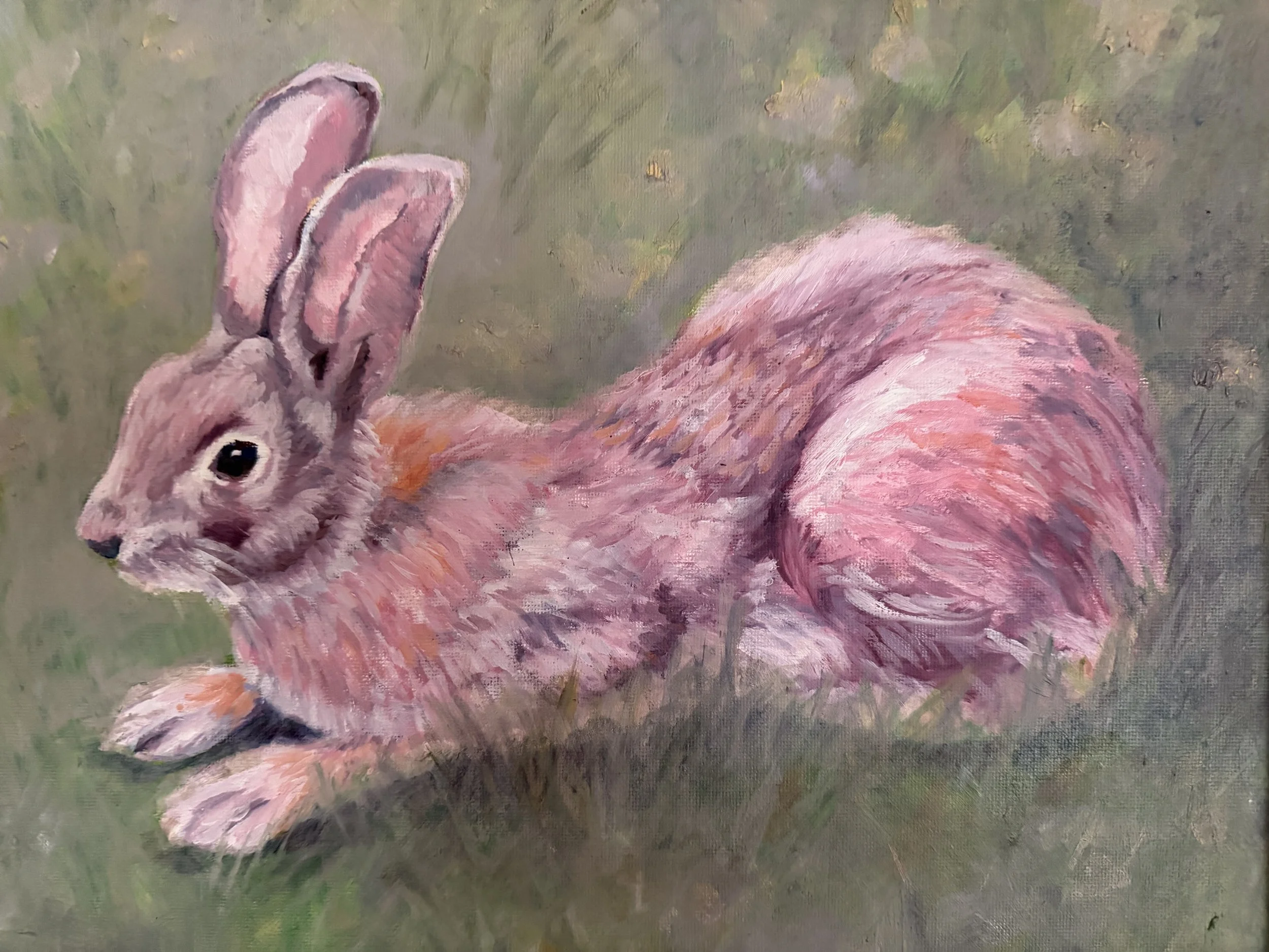 My Rabbit-side, Oil (14x11 inches)