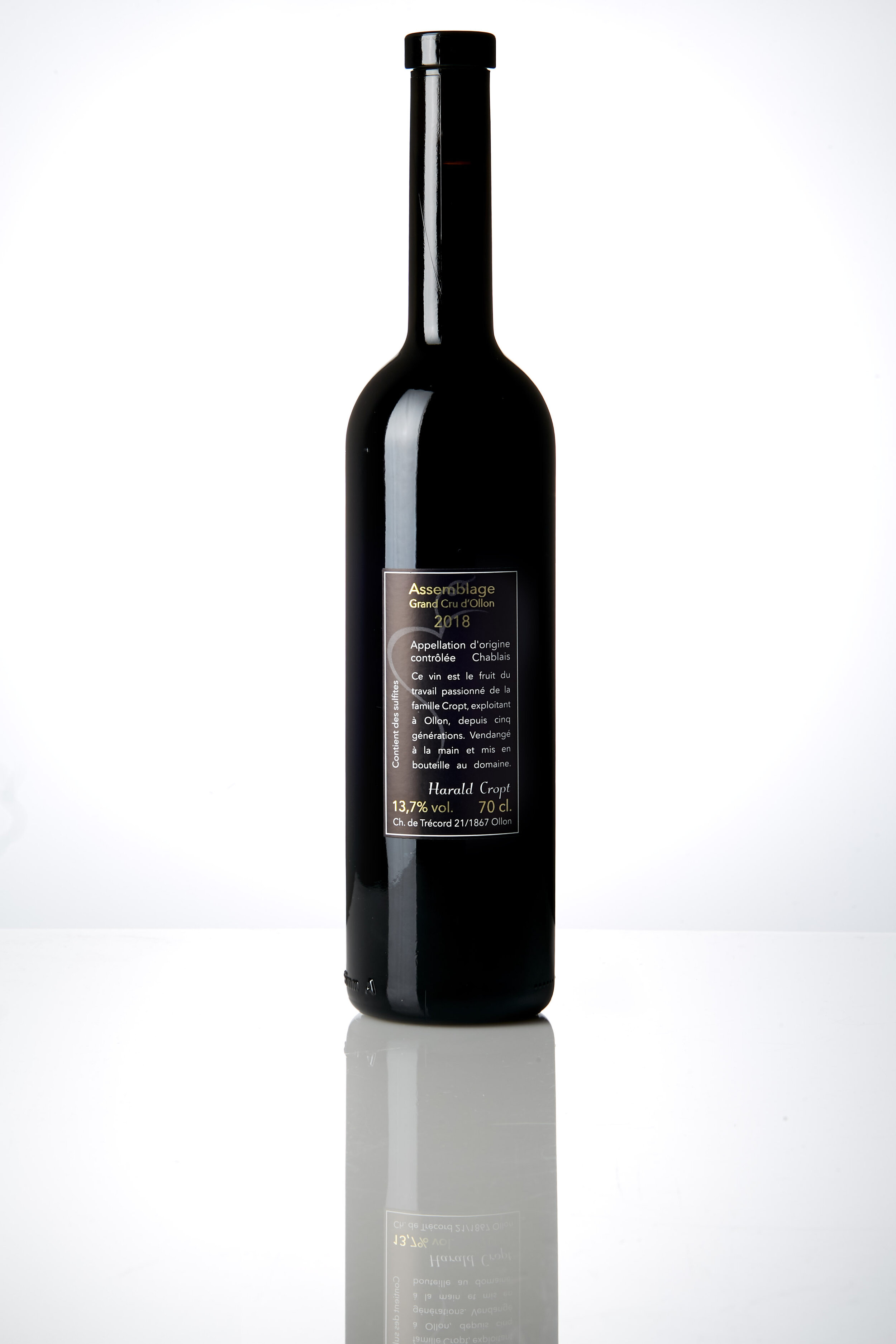 Trecord_bouteilles_17.jpg