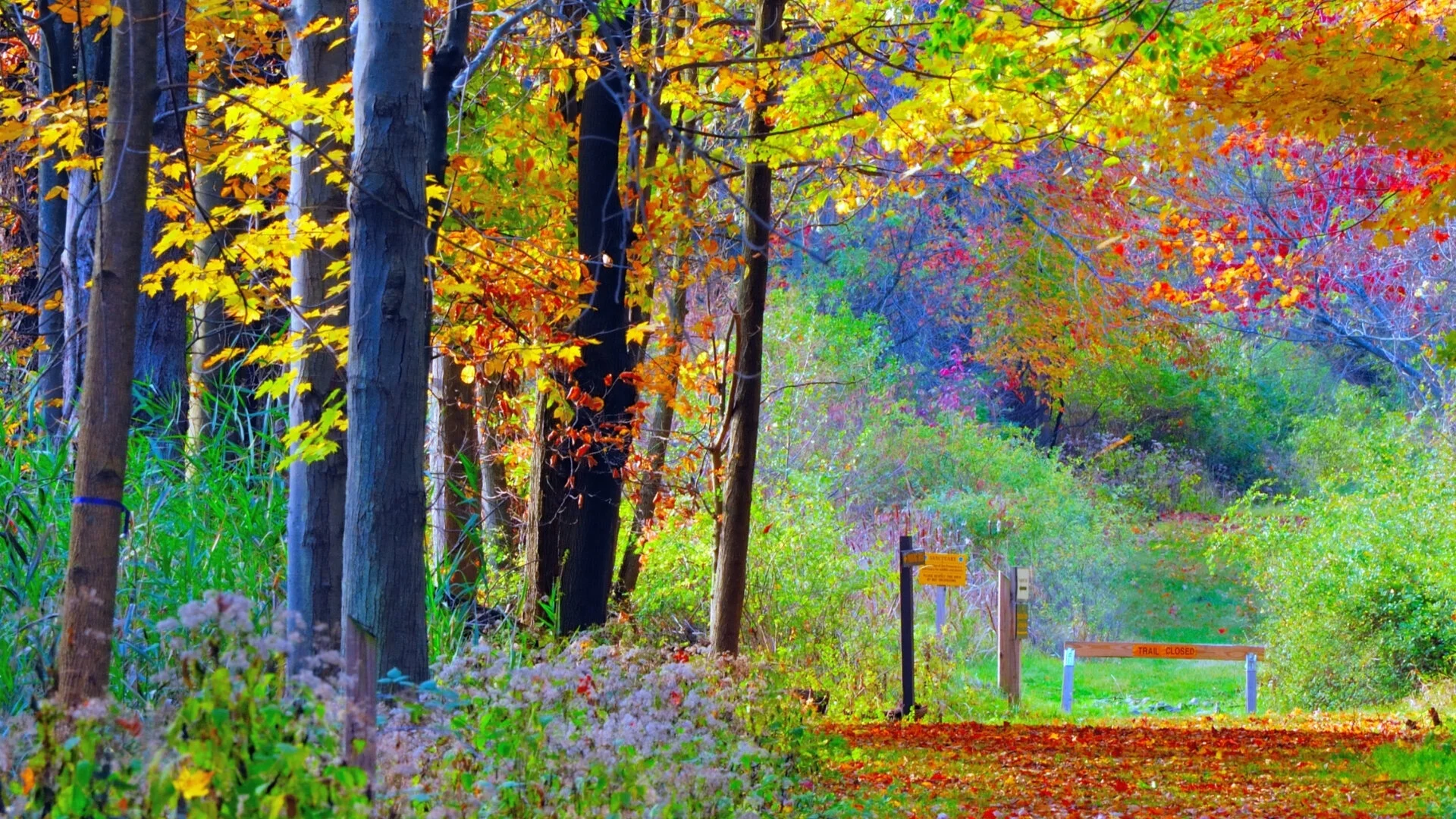 Woodland activities for all the family to enjoy — Round the Woods