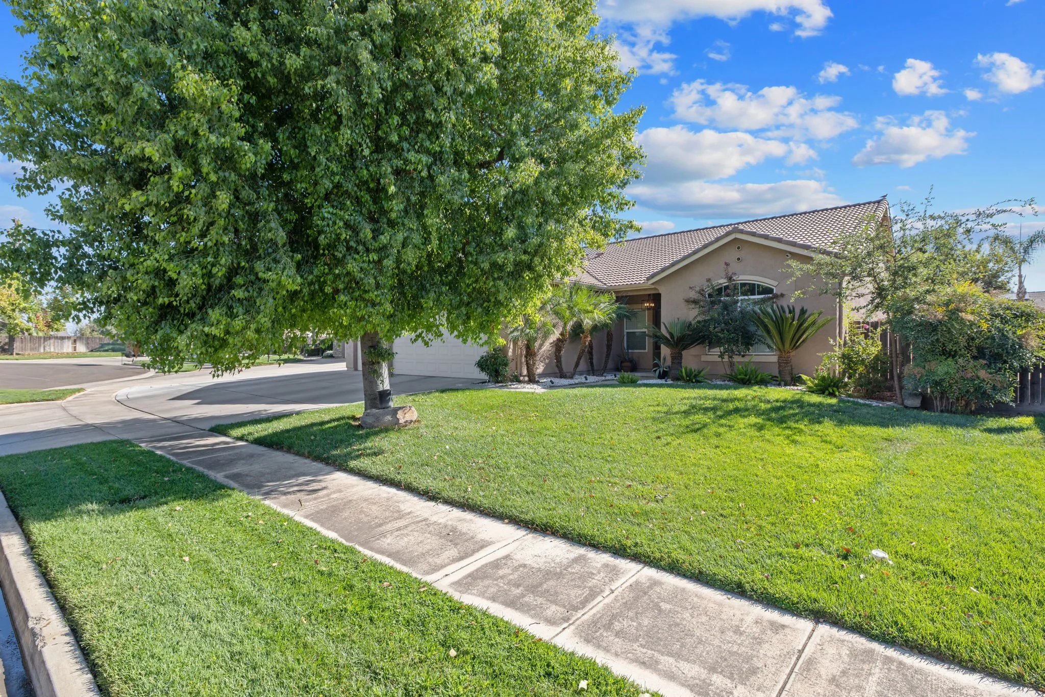 3-web-or-mls-476A2956.jpg