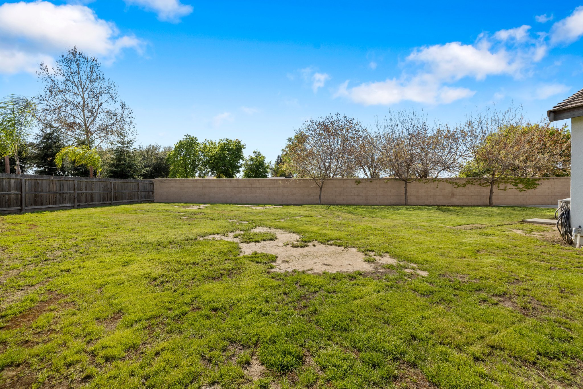 40-web-or-mls-713A8375.jpg