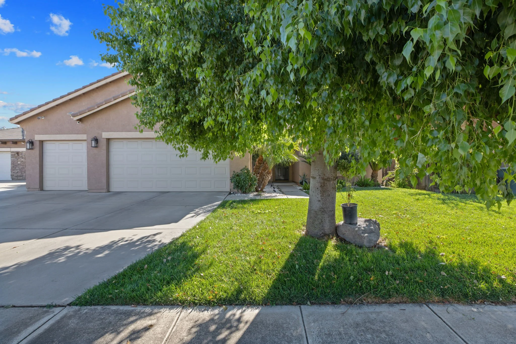 2-web-or-mls-476A2953.jpg