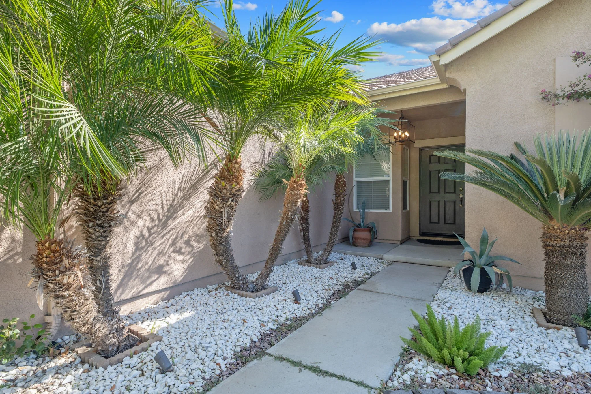 5-web-or-mls-476A2962.jpg