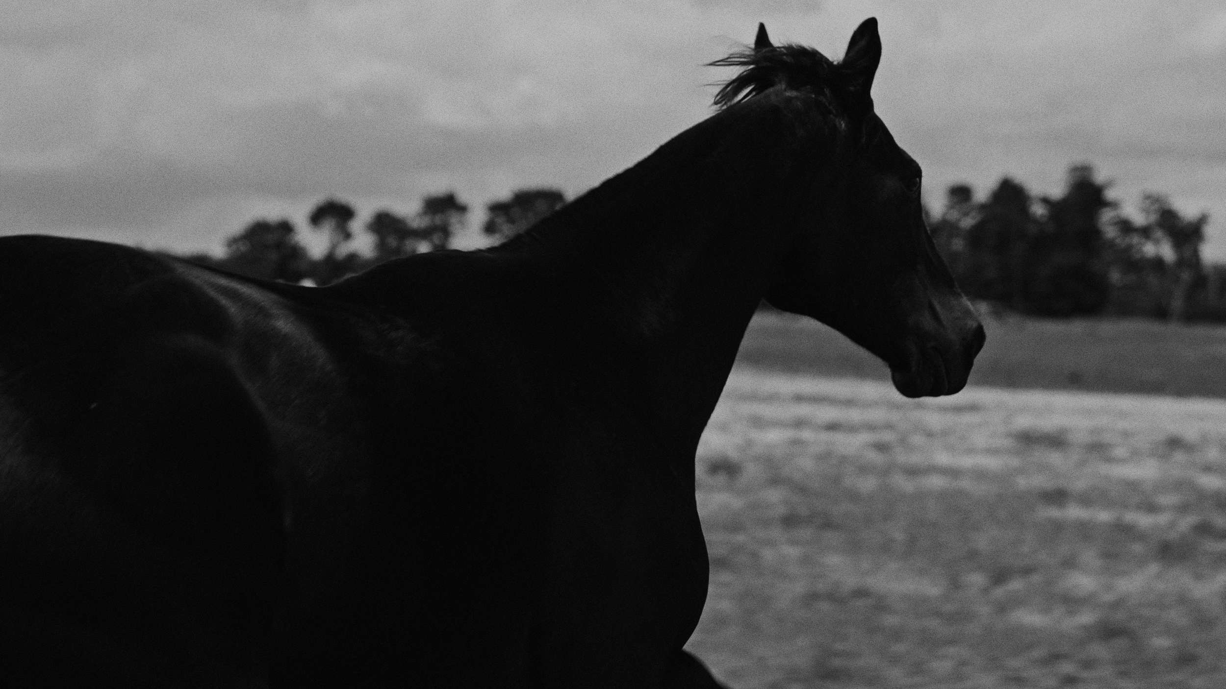 Screenshot 2025-12-16 at 12.33.50 PM.png