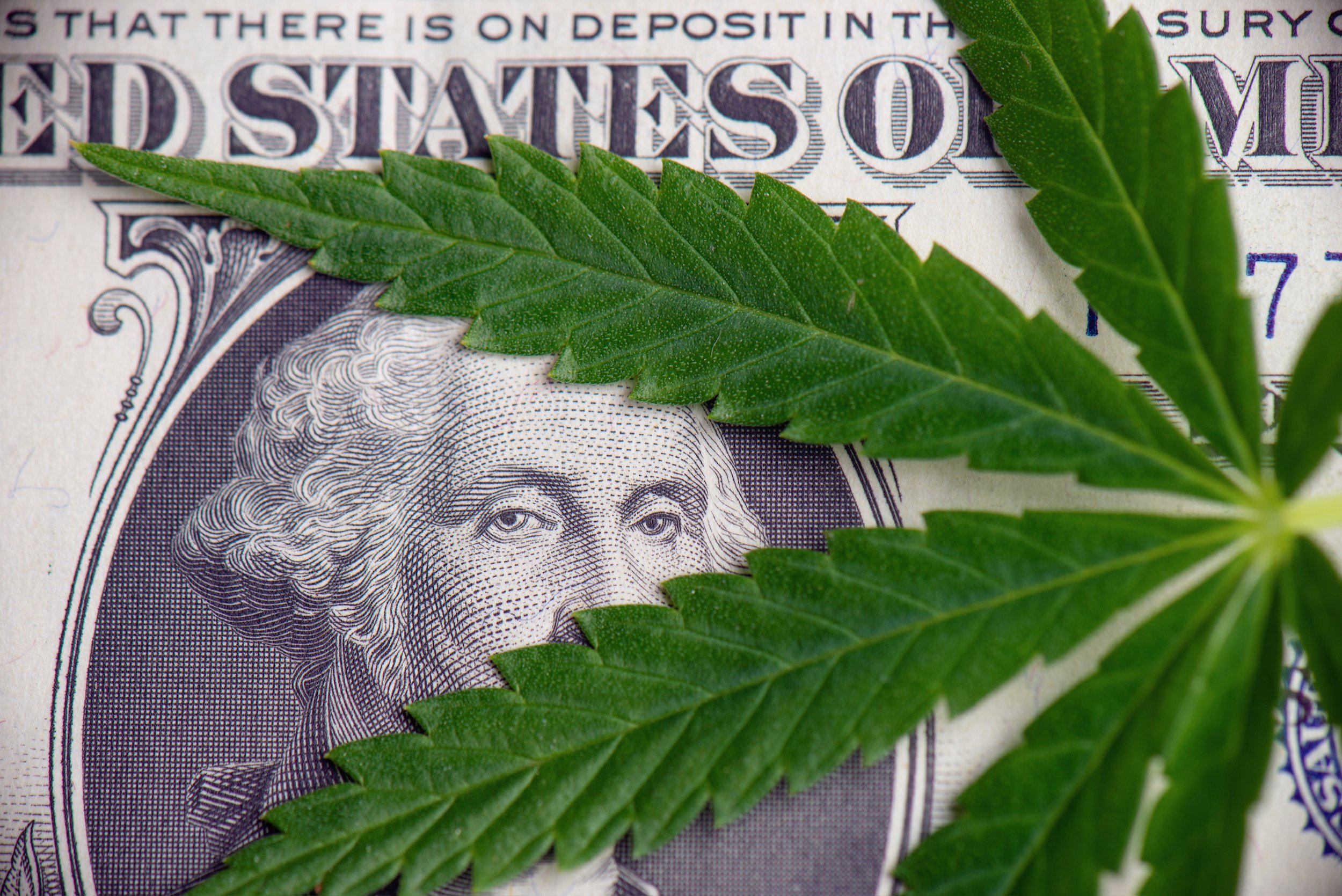 Massachusetts Credit Union, Lighthouse Biz Solutions, Receives Certification for Cannabis and Hemp Banking Protocols