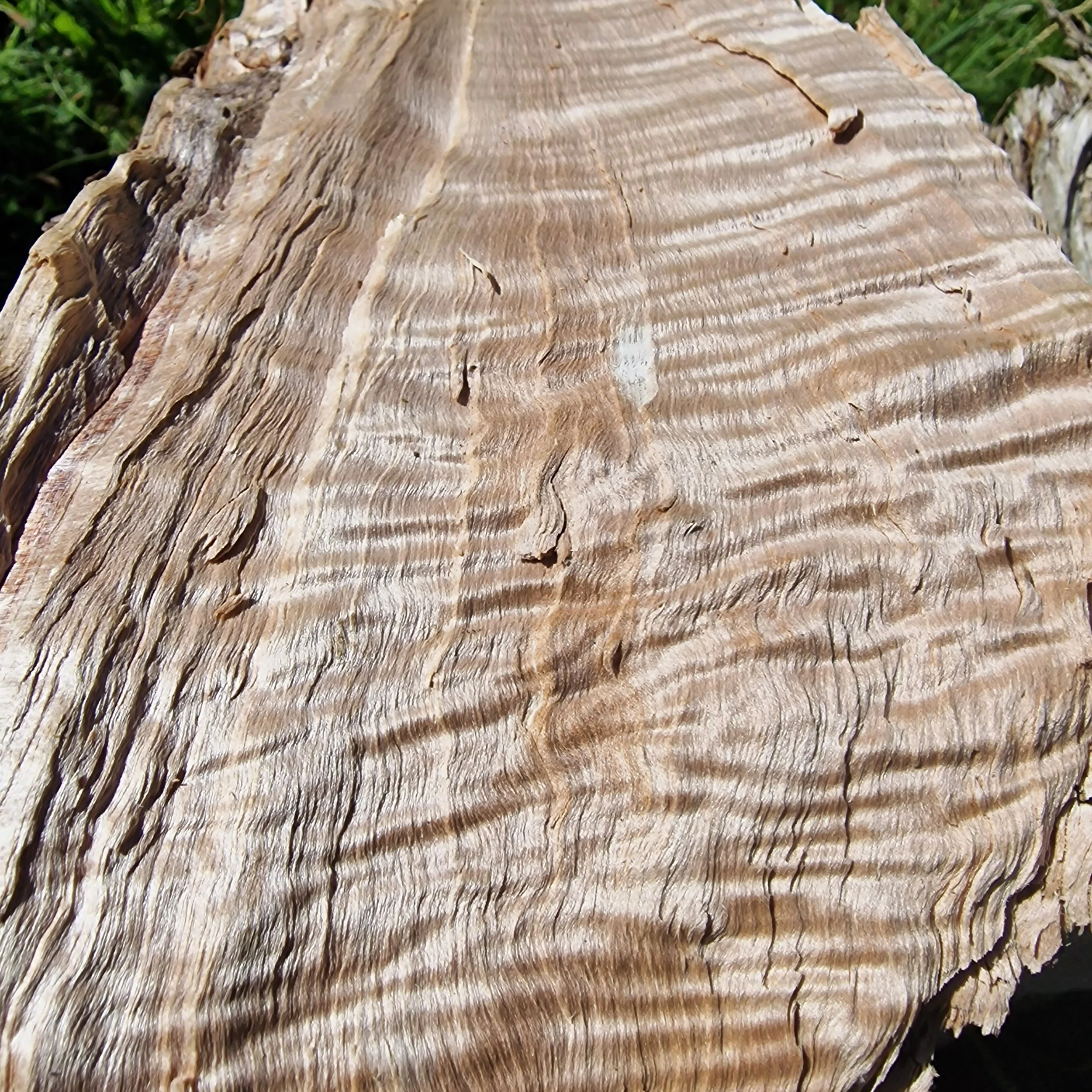 Close-up of a weathered, textured piece of wood showing natural grain patterns and cracks.