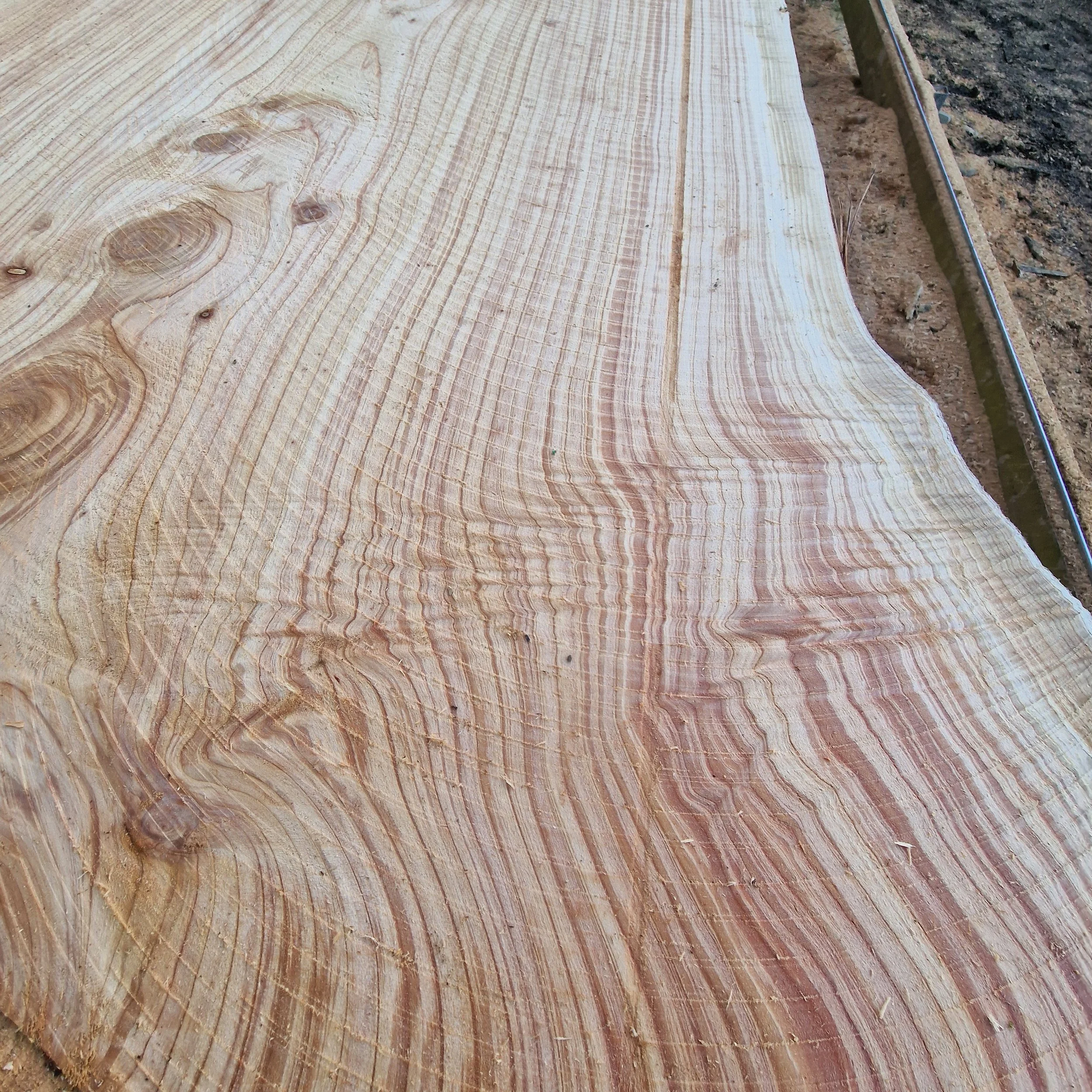 Close-up of a large, natural wood slab with visible growth rings, set outdoors on the ground.
