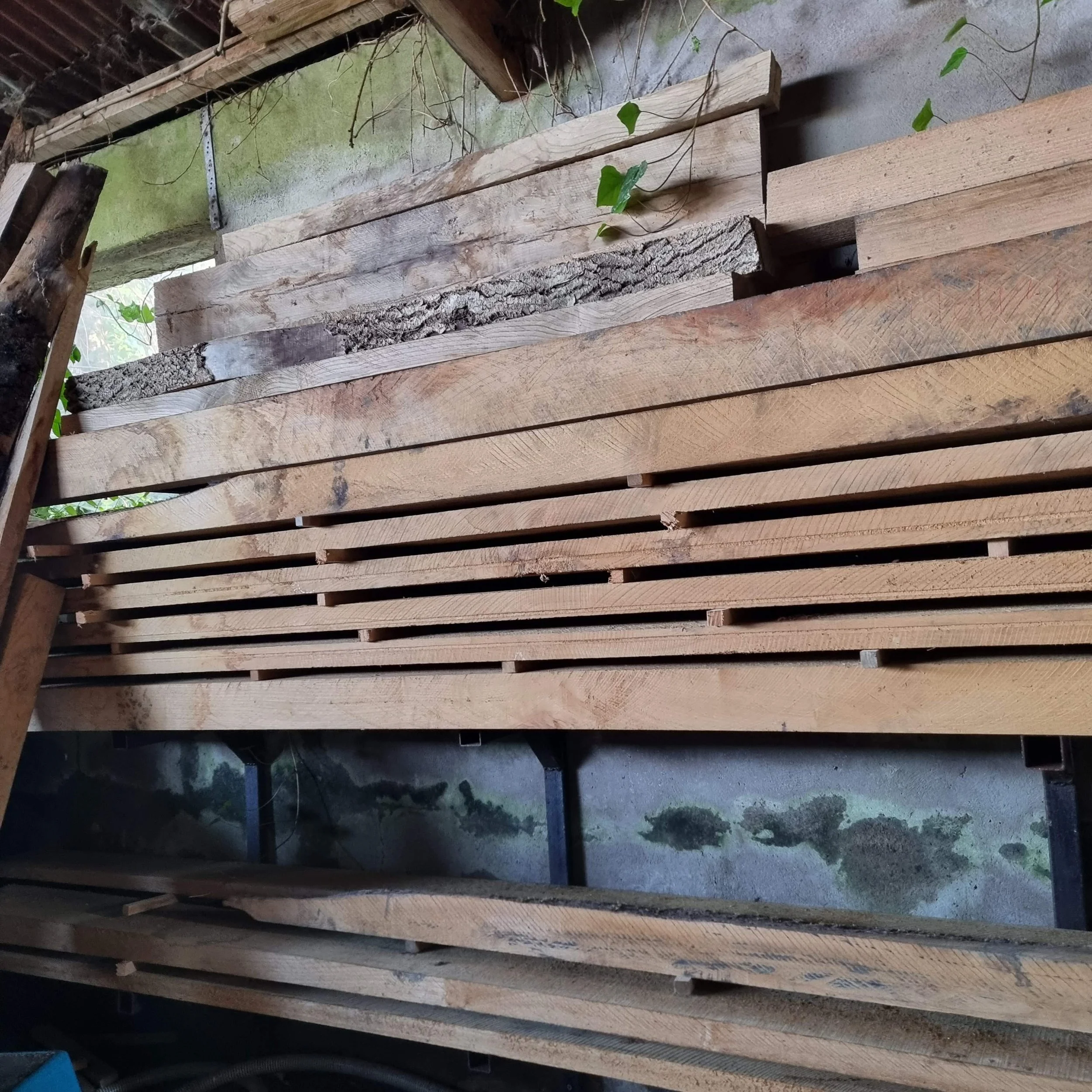 Stack of cut and assembled wooden planks stored outdoors with some green vines growing nearby, and moss on the ground.