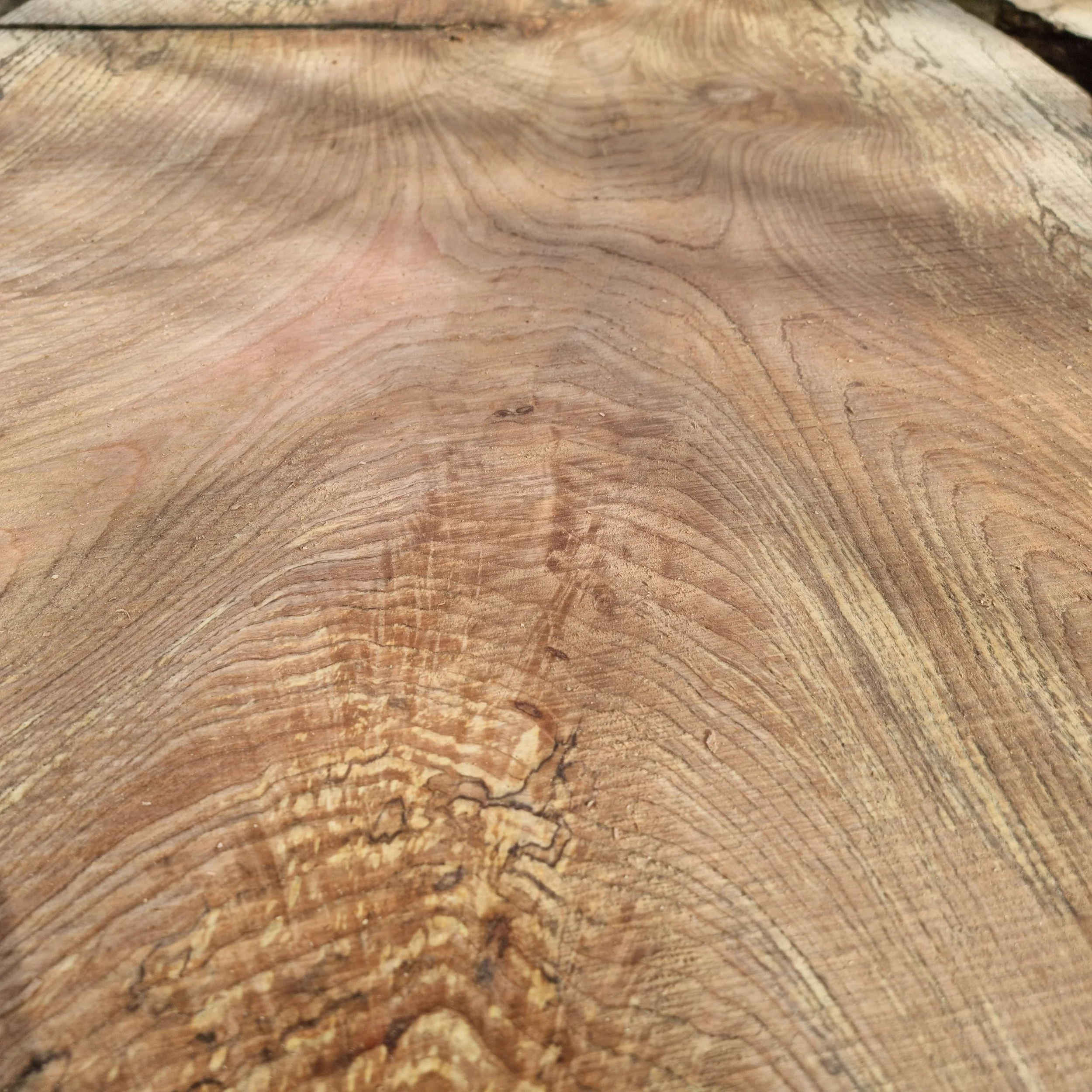 Close-up view of a large piece of wood with visible grain patterns and natural texture.