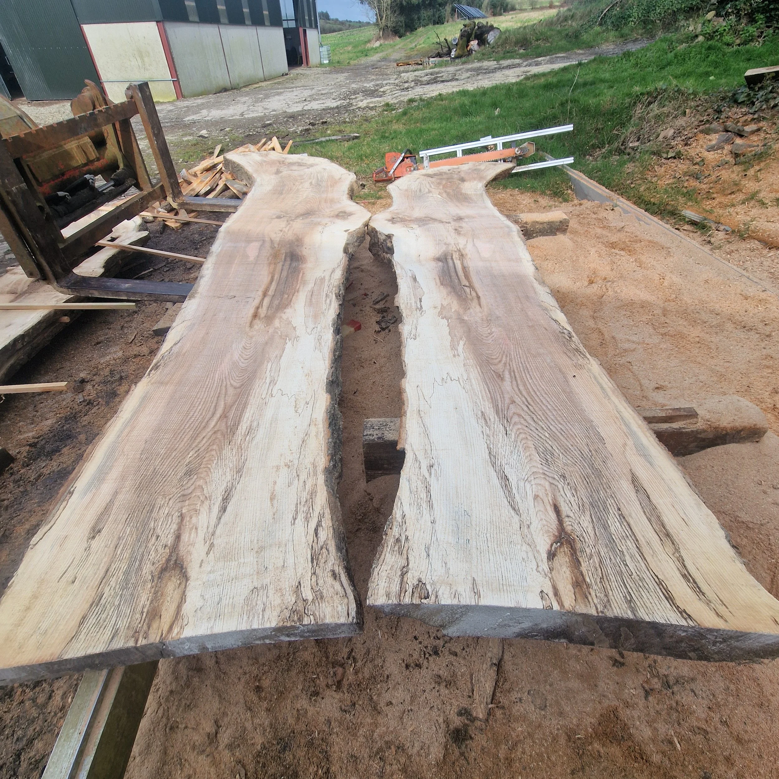 Two large, unfinished wooden slabs with a central crack, set in an outdoor woodworking or carpentry area surrounded by tools and sawdust.