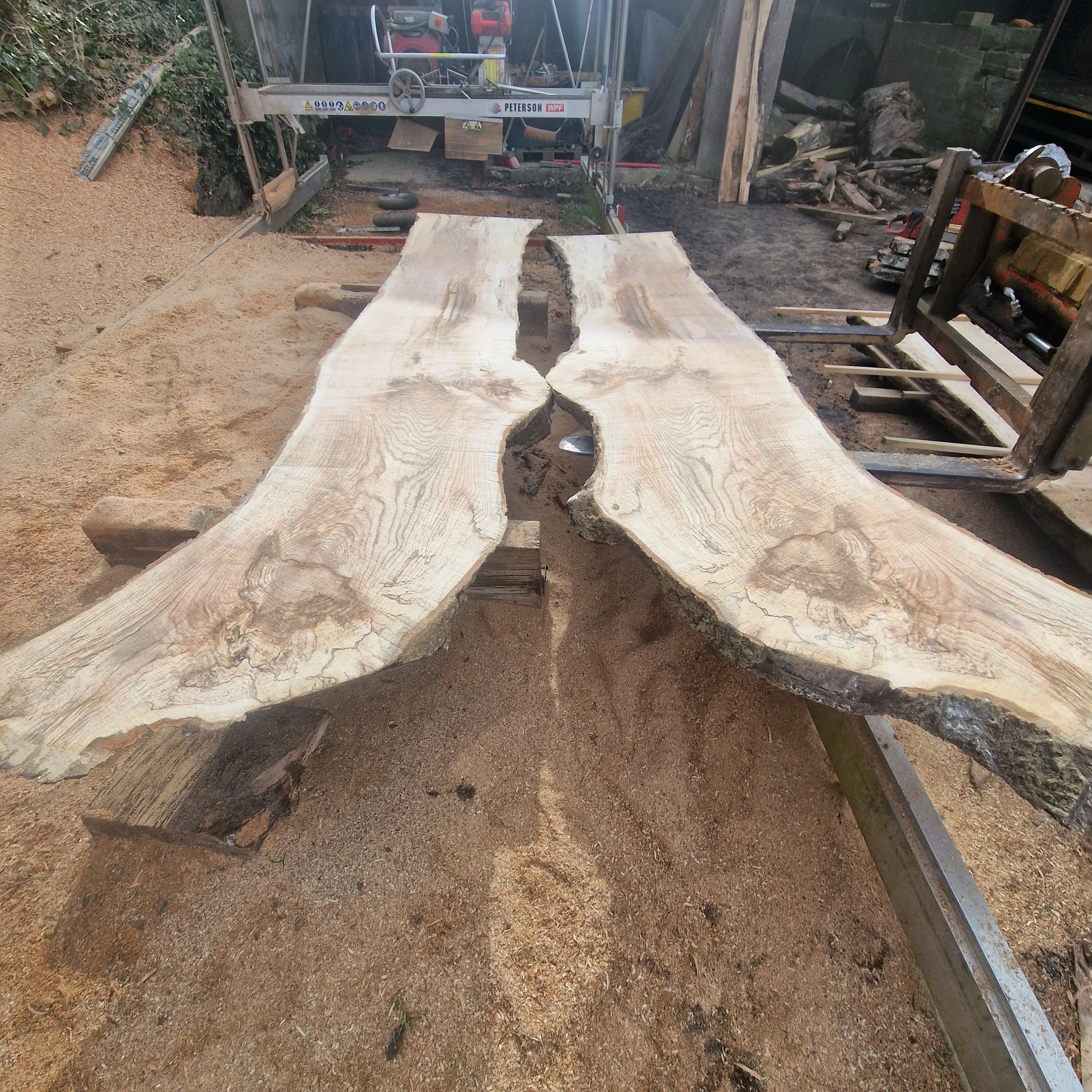 A large, irregularly shaped wooden slab with a natural edge, placed on a worktable in a woodworking shop, with sawdust on the ground.