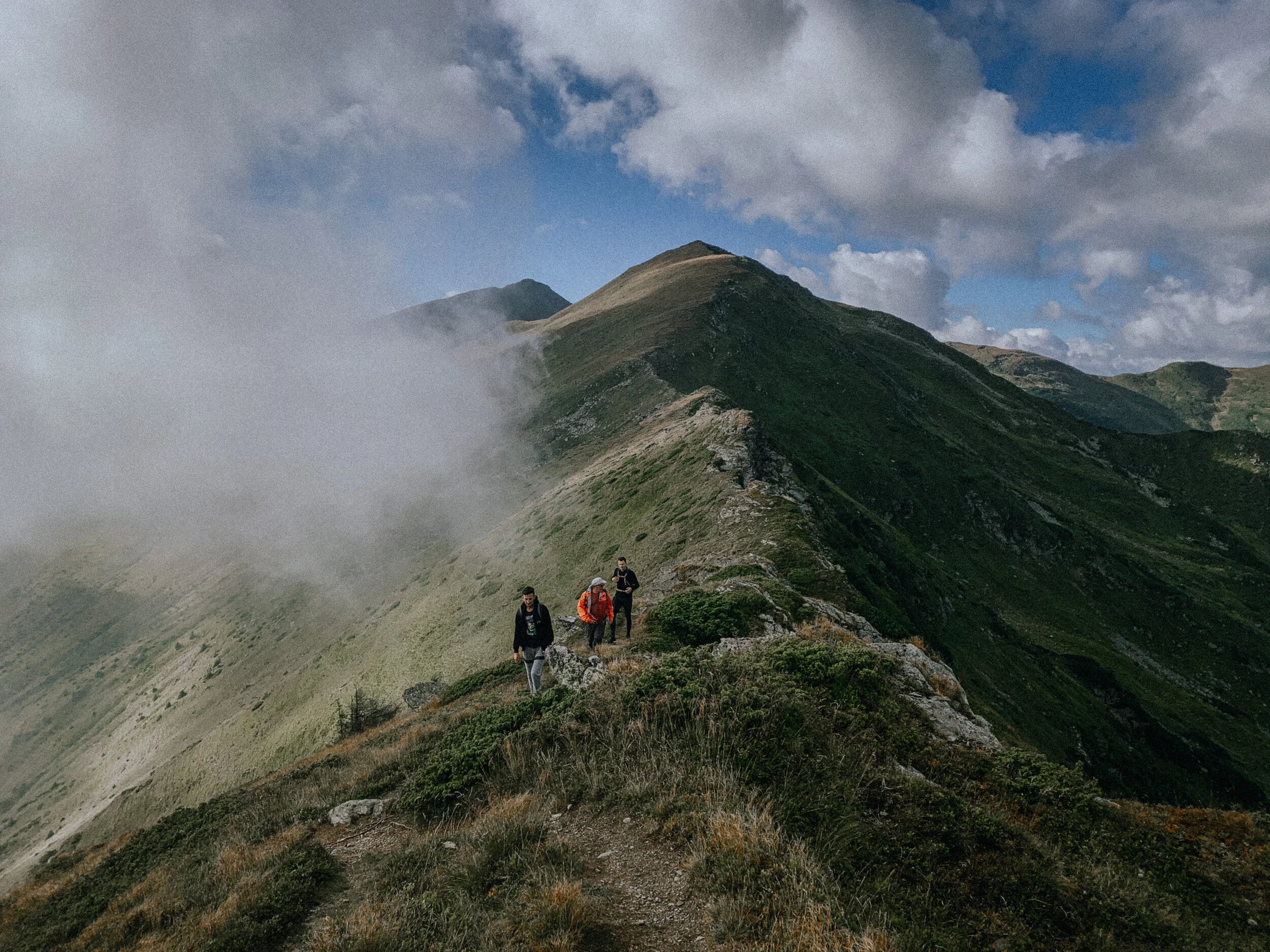 Rodnei Mountains