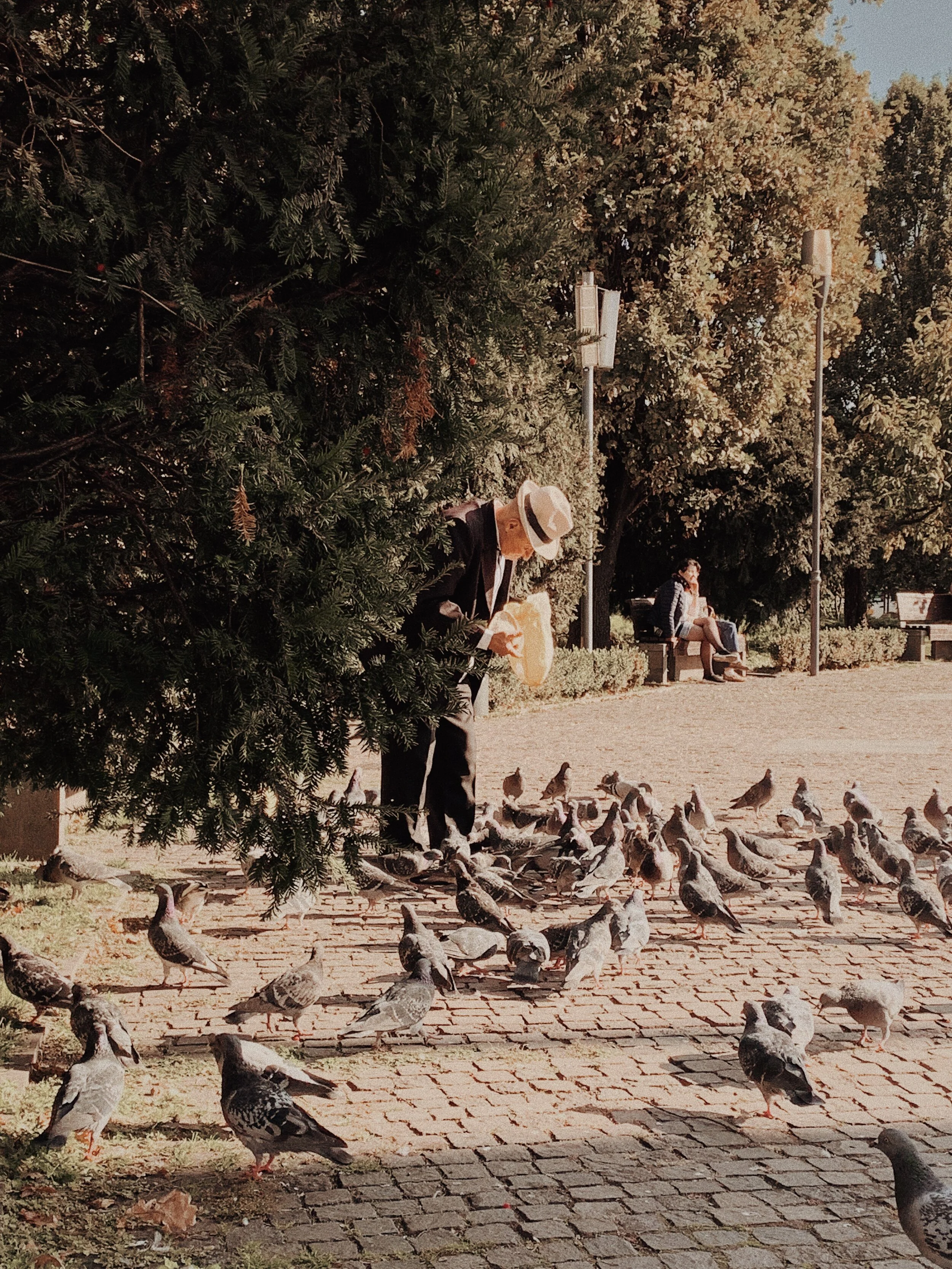 Cluj