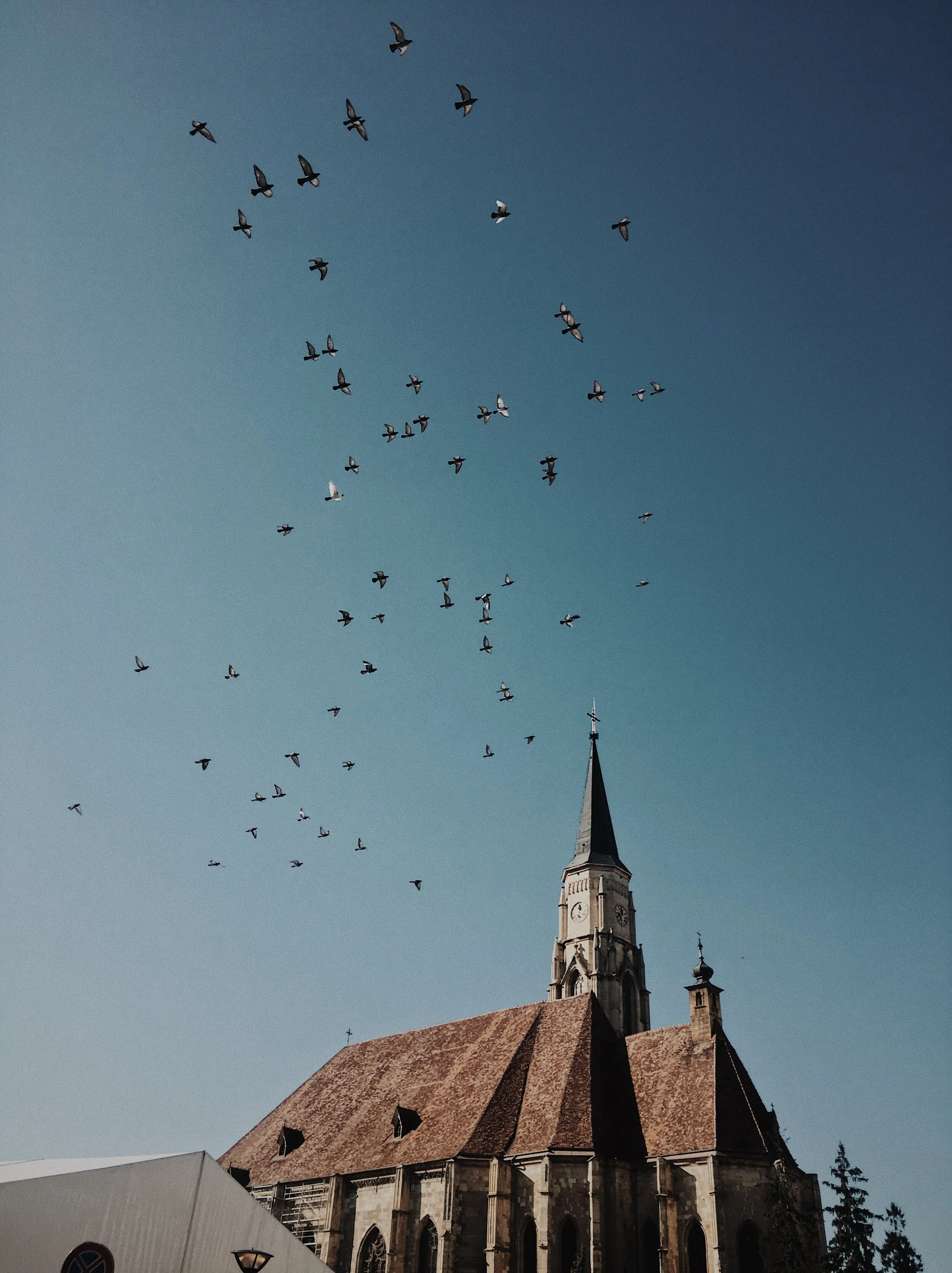 Cluj