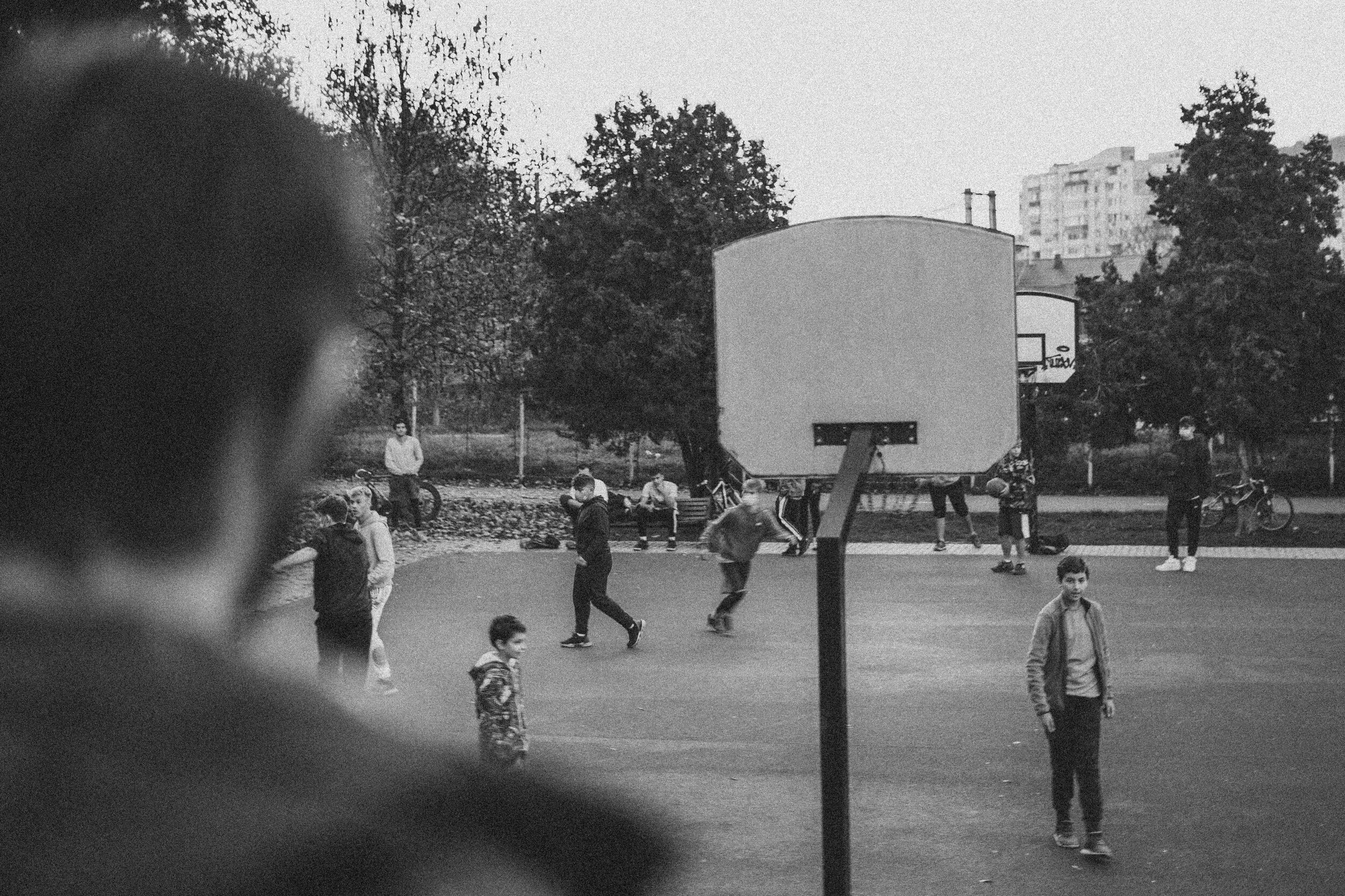 Rozelor Park, Cluj