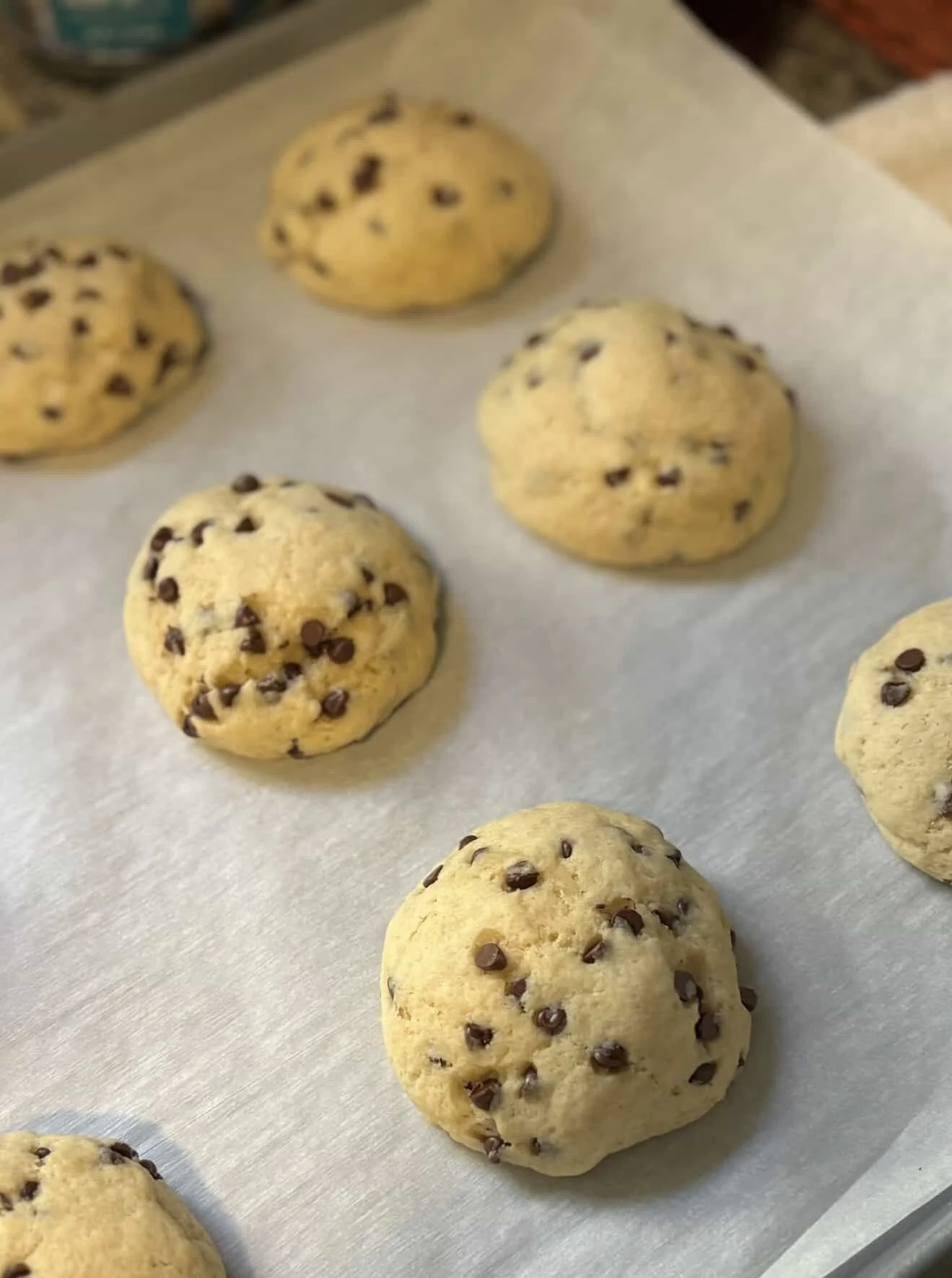 9A845430-A4CD-43F0-80BB-1EFDEE1402D2 (1).jpg