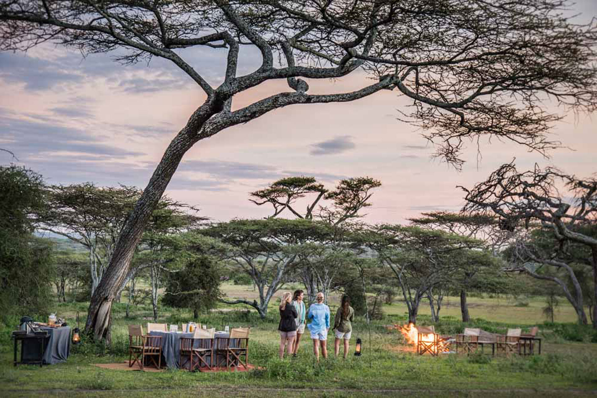 Legendary Serengeti Camp: Luxury Safari in Tanzania