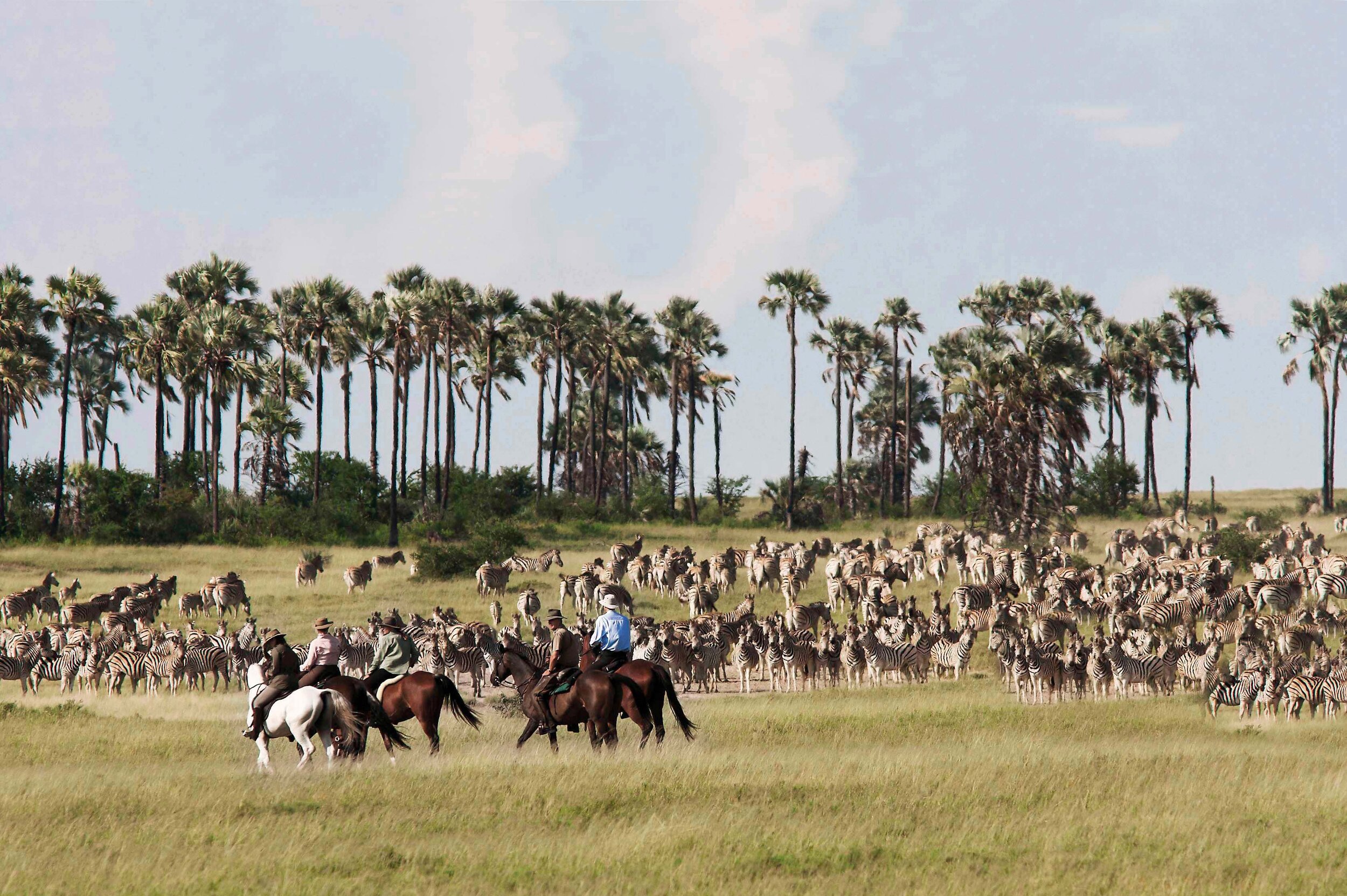 Horseback in the Desert