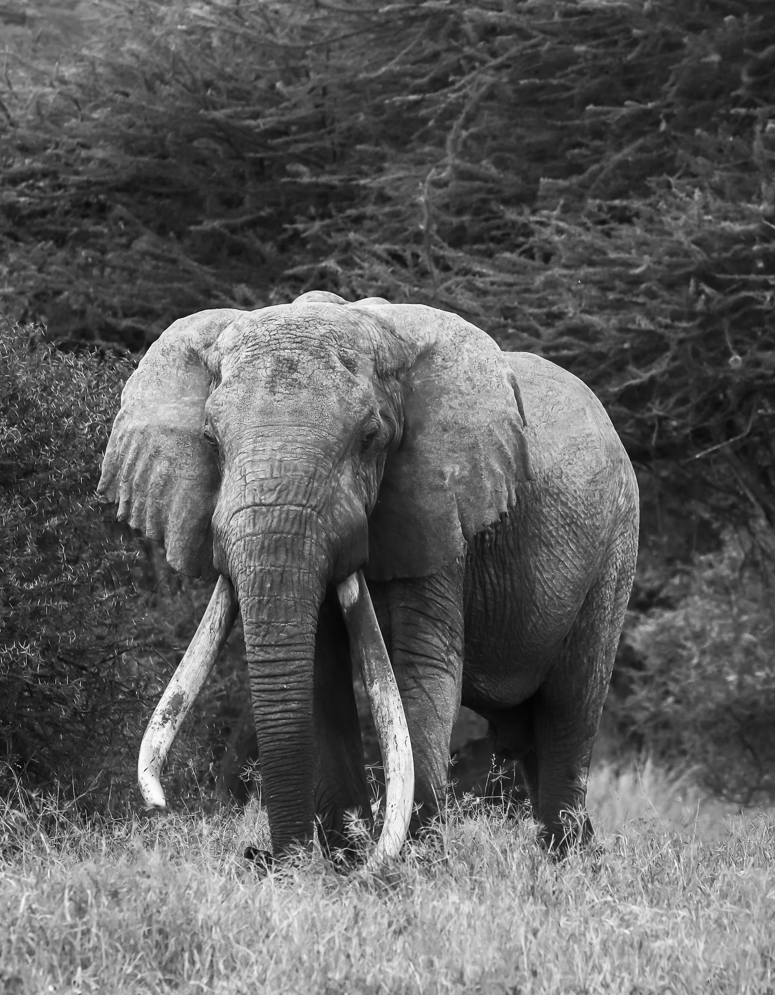 A Family trip to Kenya with Wander Africa Safari Co.