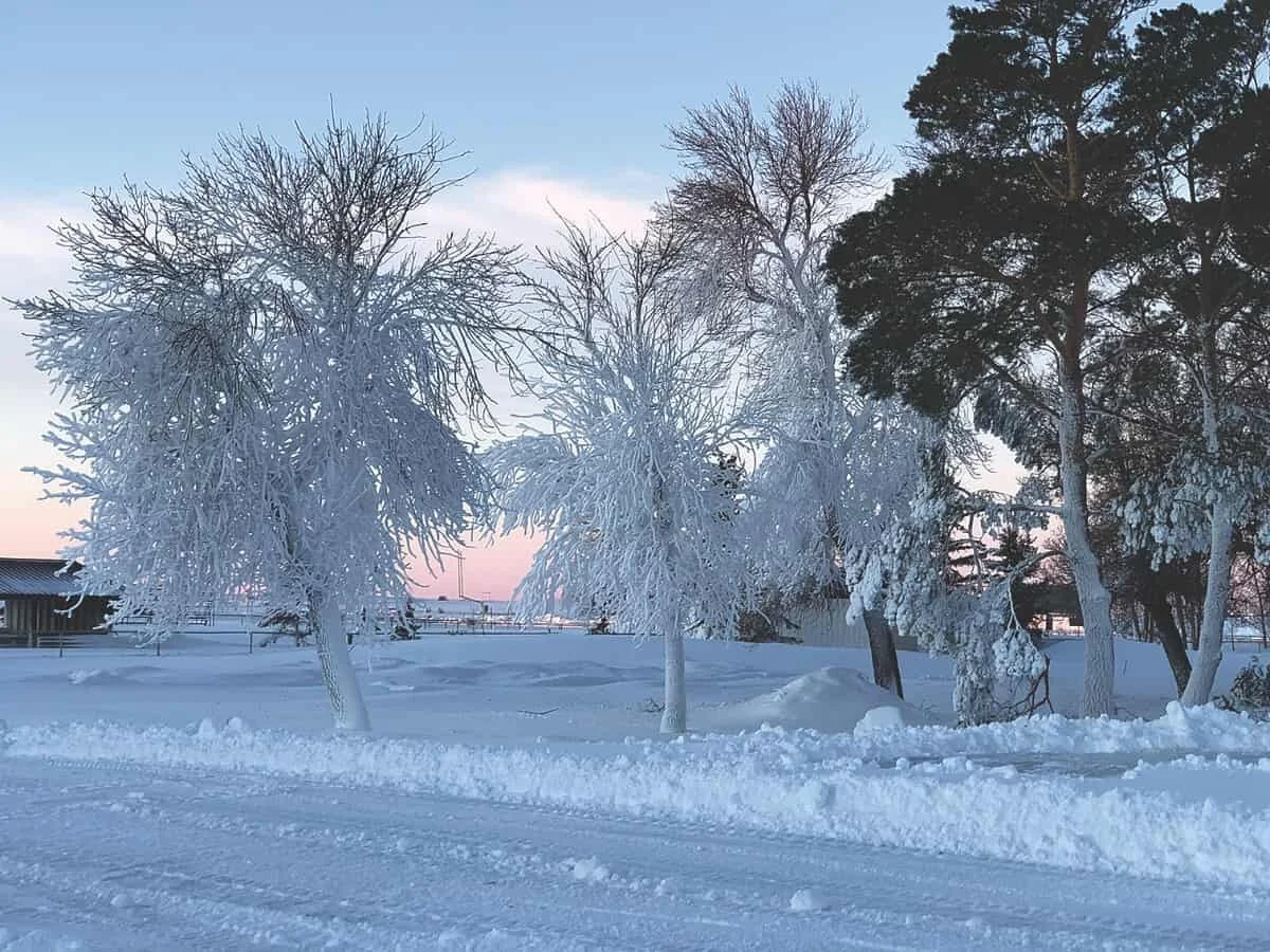 Alberta Clipper slams Saskatchewan, causing widespread damage