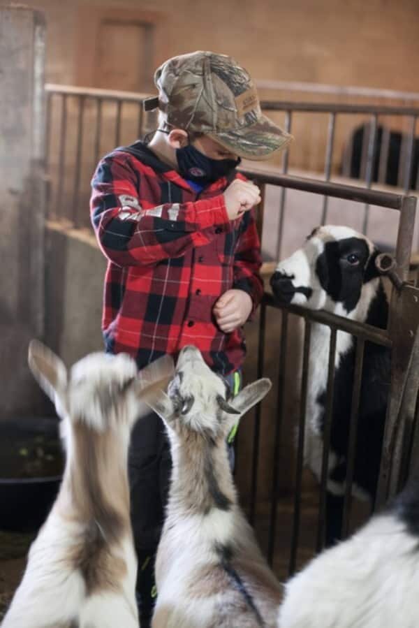 Interacting with animals is good for the soul