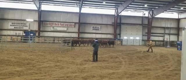 Cereal Volunteer Fire Department takes Livestock Emergencies in Transport course