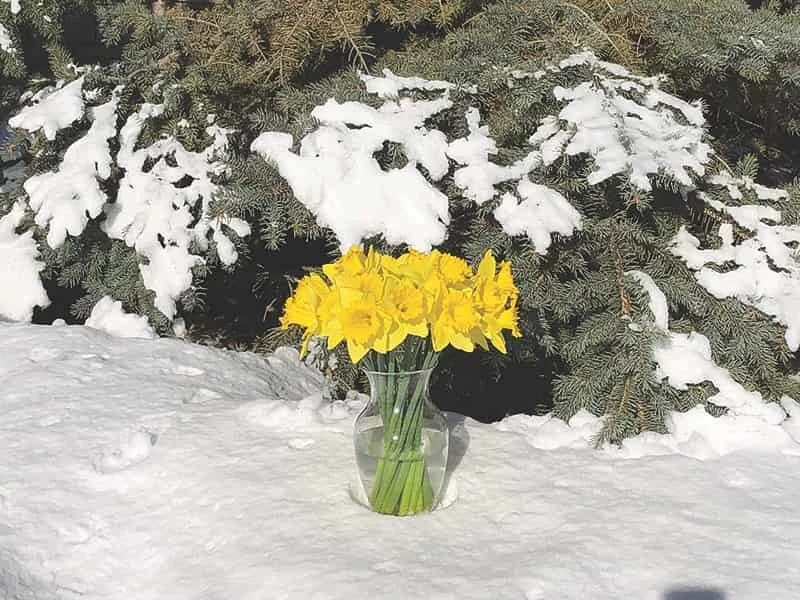 Acadia Valley News, Feb. 24, 2021