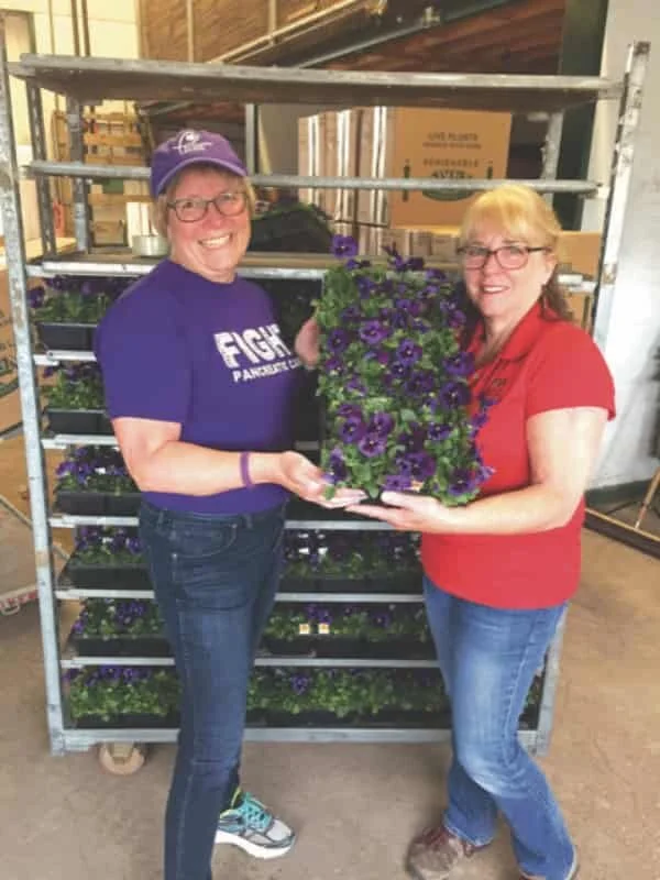 Purple Pansies for Pancreatic Cancer