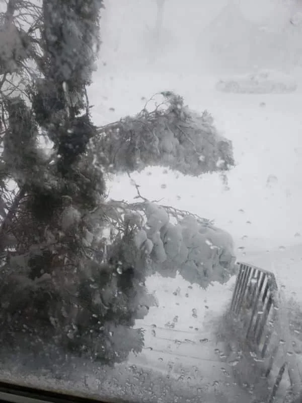 Out like a lion - winter storm roars through east central Alberta