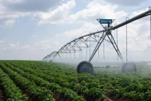 Exploring irrigation possibilities in Alberta