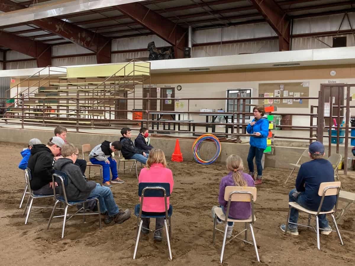 The Acadia Valley Equine Program