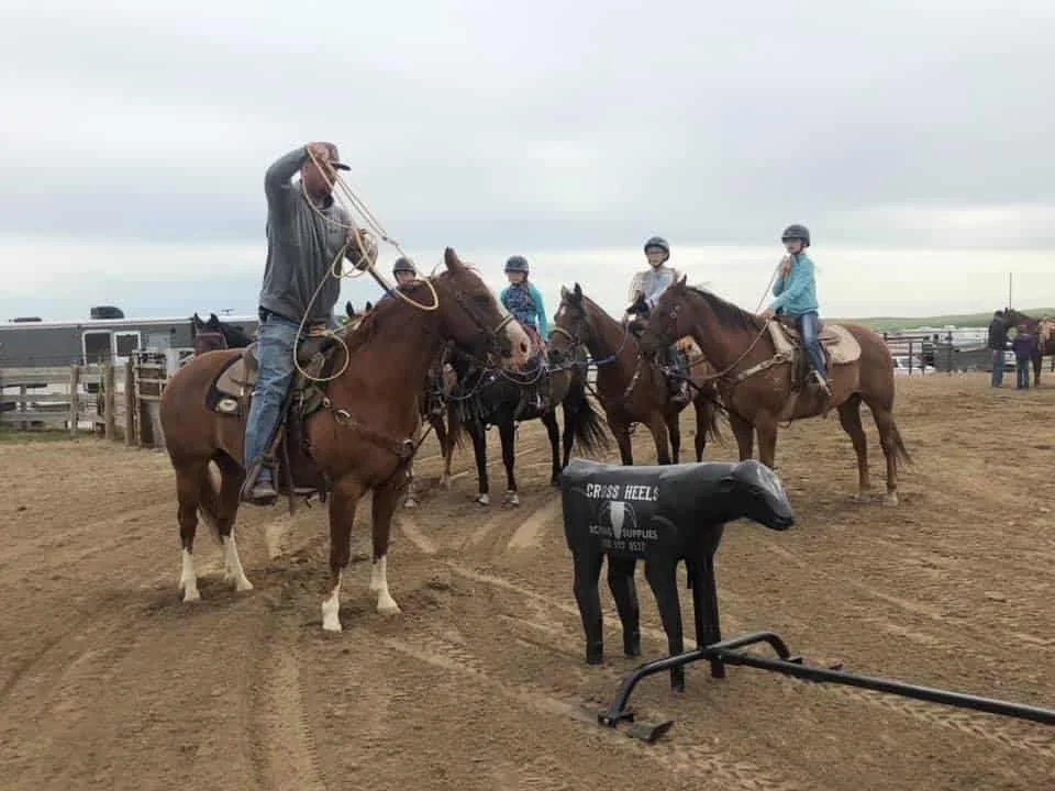 New equine program proposed for South Central High School