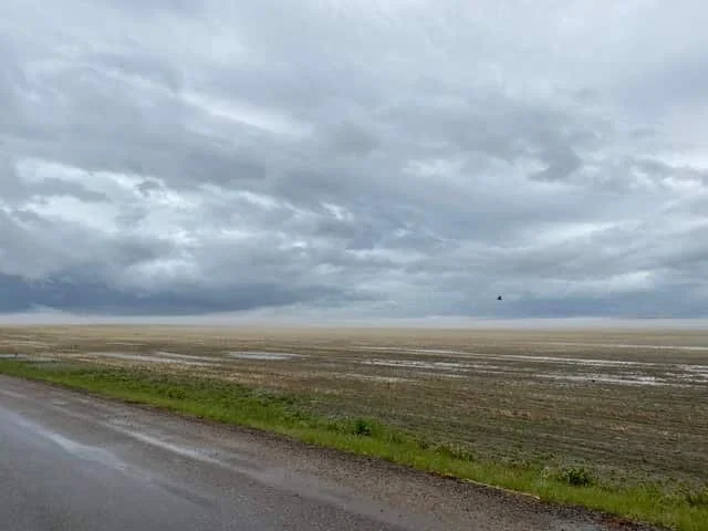 Acadia Valley News, June 9, 2021