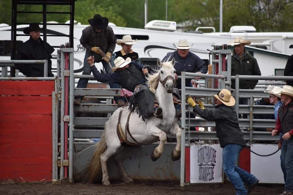 Powell Brothers to represent Canada at National High School Rodeo in Nebraska