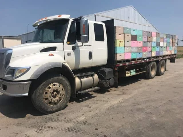 It’s harvest time at Janiel Enterprise’s Honey House
