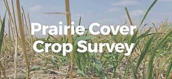 Survey finds on-farm cover crop innovation occurring across the Canadian Prairies