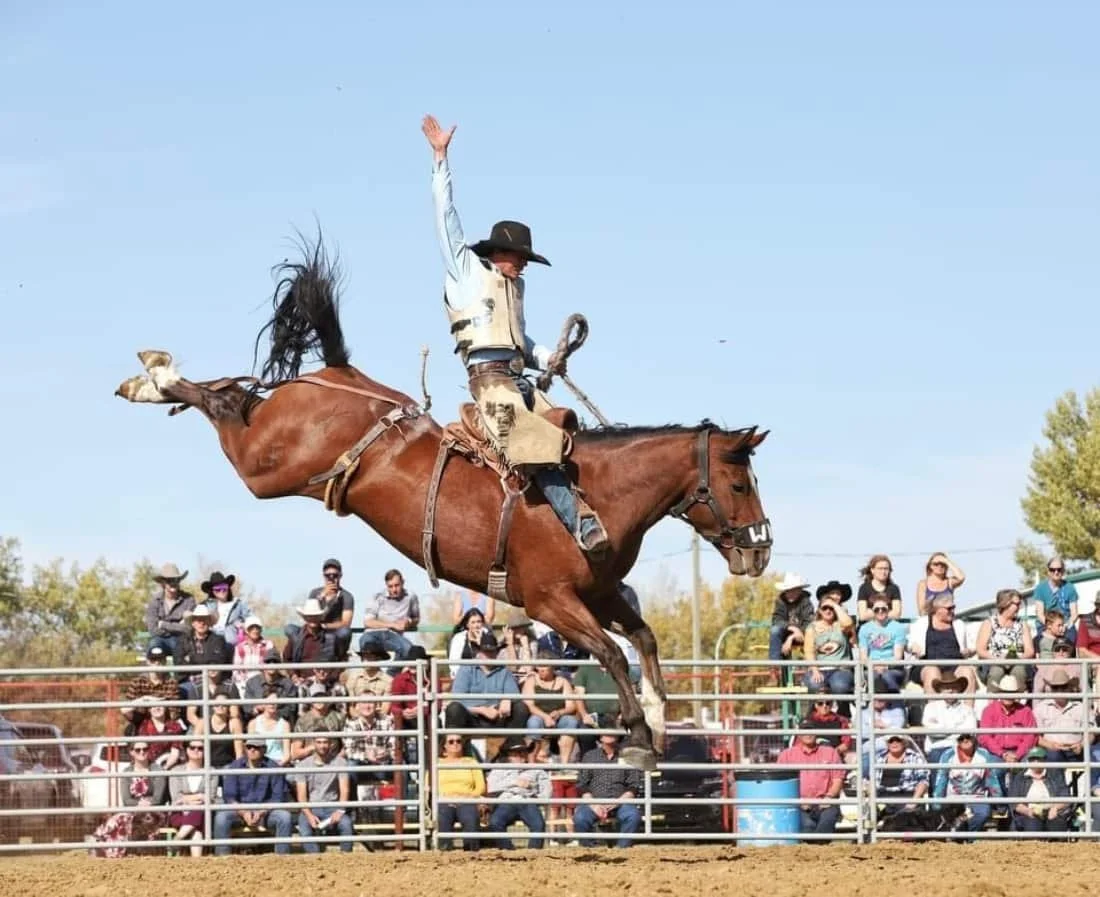City of Swift Current thanks Community and Region for hosting 2016 – 2021 CCA Finals Rodeos