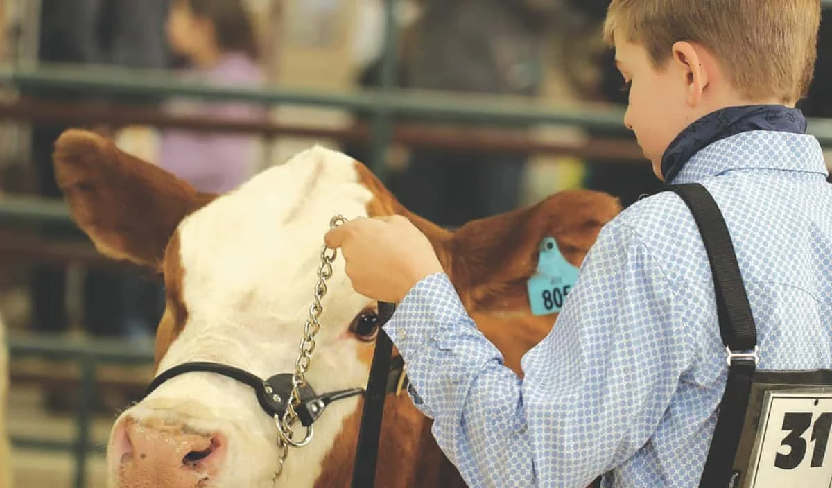 Crossroads Beef Expo celebrates its 20th year!