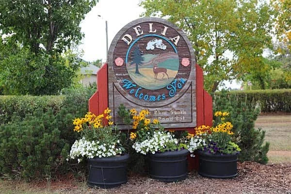 THE DELIA GAZETTE: Dedication: Sacrificing a curling game to set up community fireworks display!