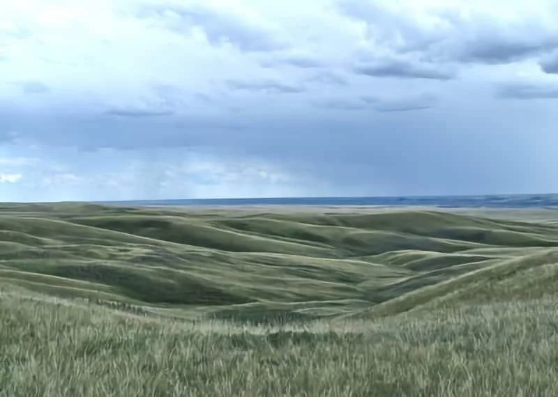 HAND HILLS GRAPEVINE: Breaking up land on December 20? Wow!