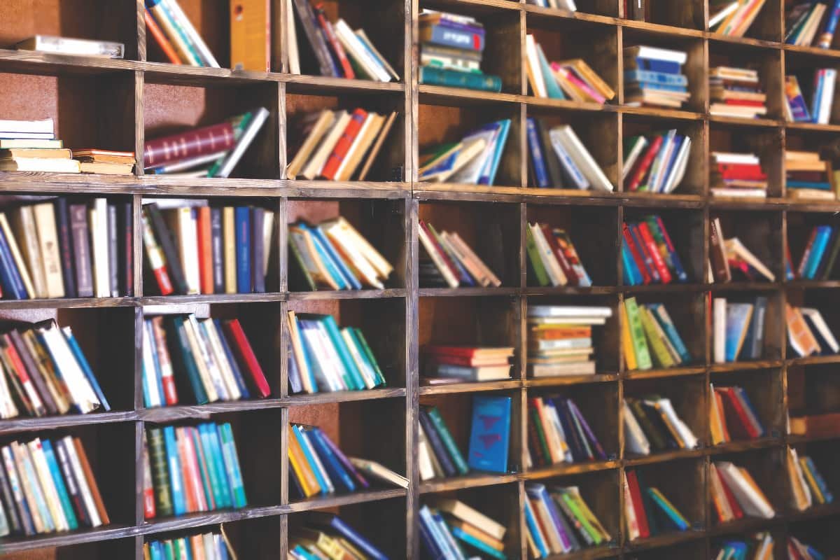 Town of Oyen Library Booknotes: An Amish Widow’s New Love